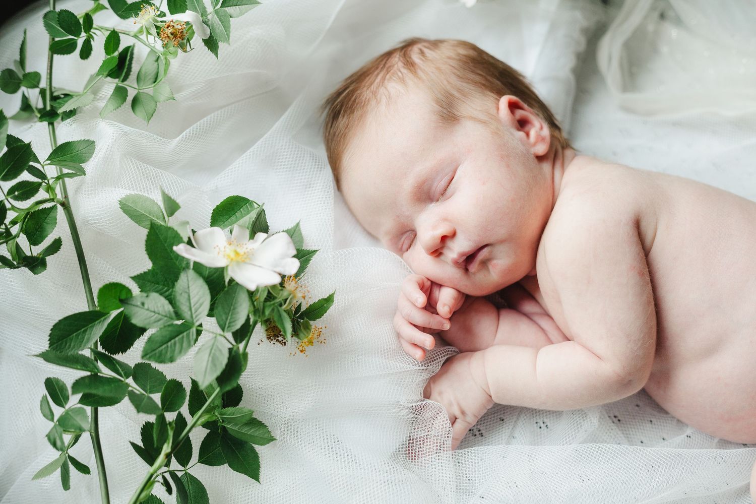 Sleeping newborn surrounded by green foliage and white flowers on soft fabric.