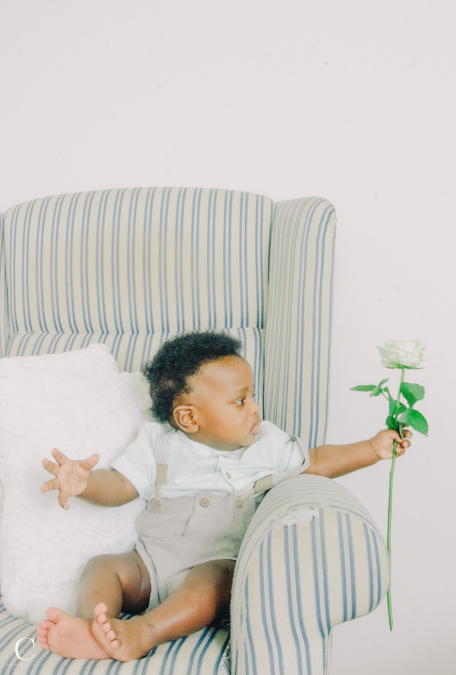 Striped couch with small plant decor against white wall.