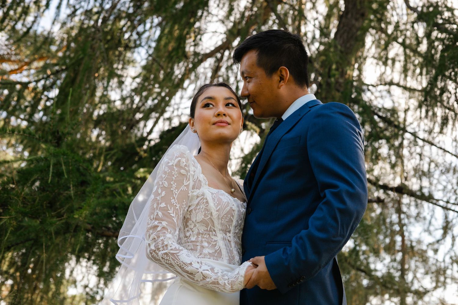 A romantic wedding couple shares an intimate moment under drooping evergreen branches.