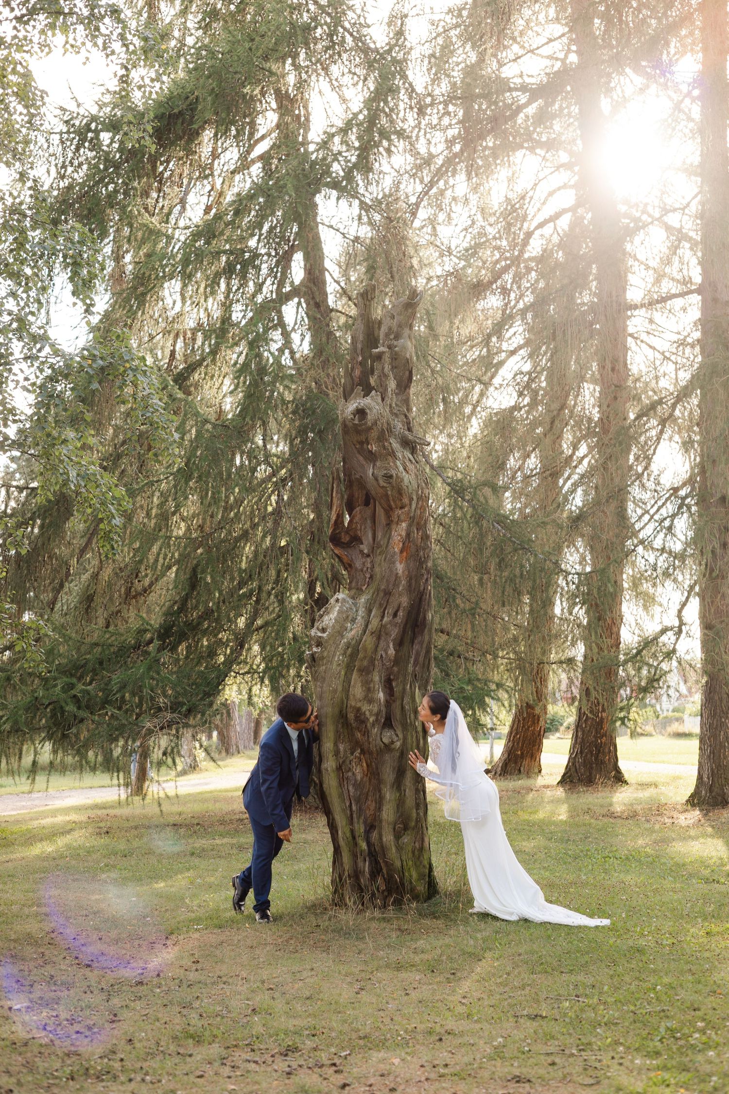 Wedding couple walking among majestic old trees in golden sunlight.