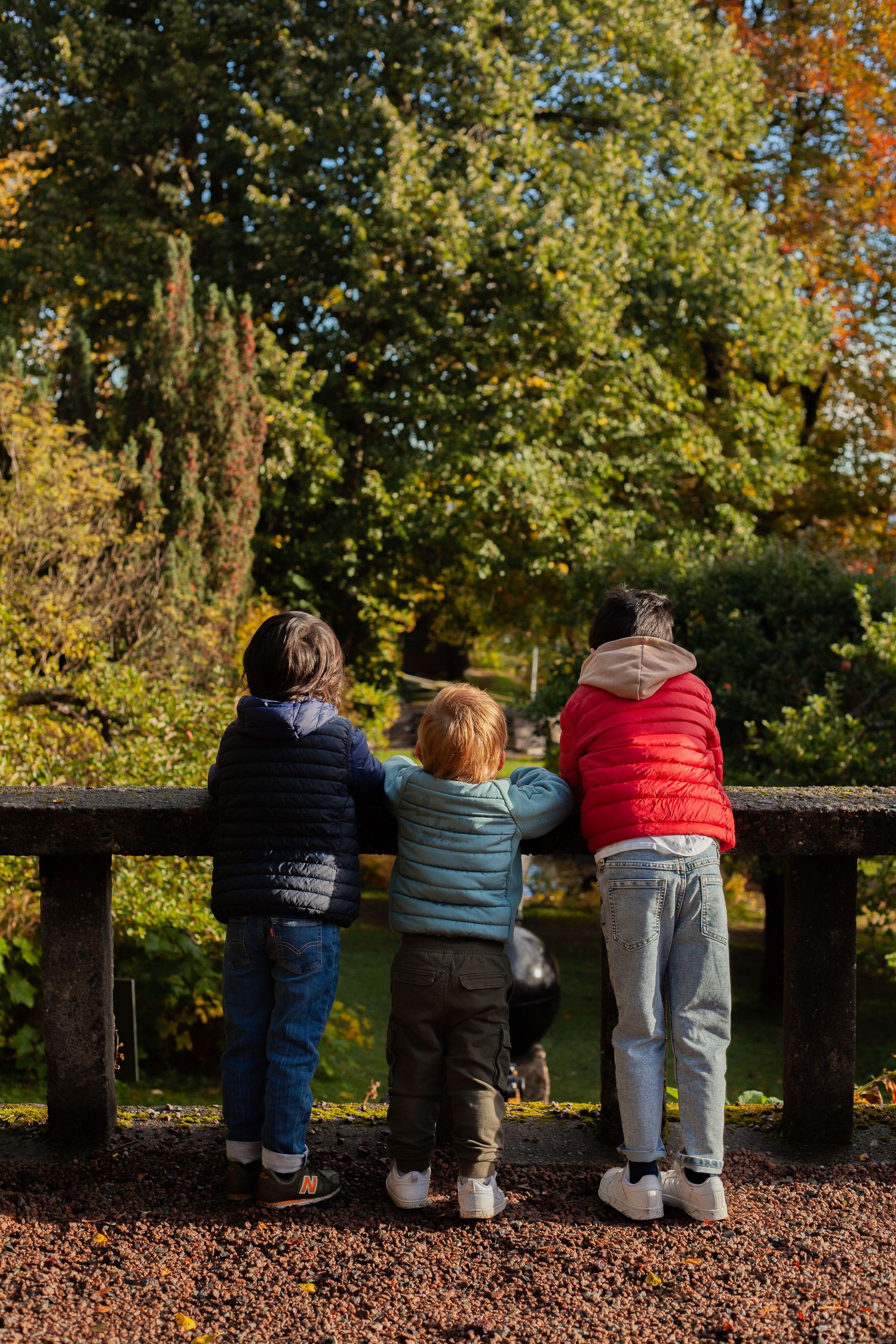 Three people in warm jackets lean against a wooden railing overlooking autumn trees on a nature trail.
