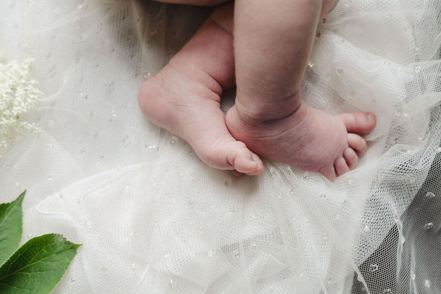 Close-up of tiny newborn feet and toes on delicate white lace fabric.