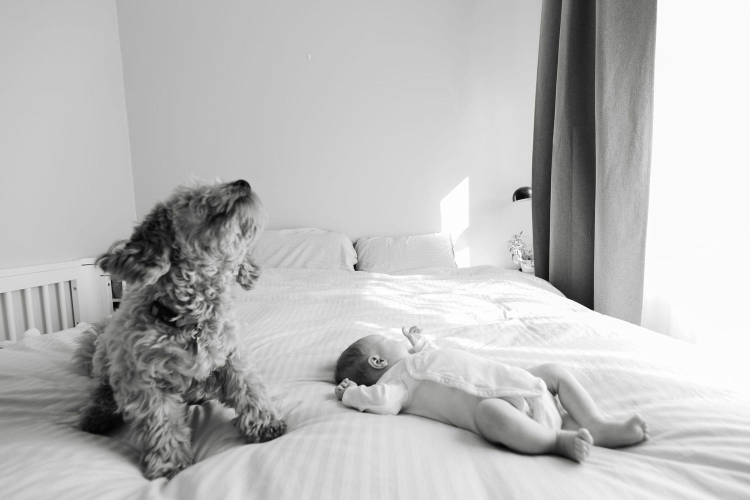 Wide angle shots of a minimalist bedroom setting for newborn photography.