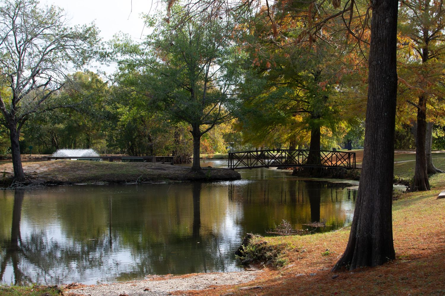 gabbard park