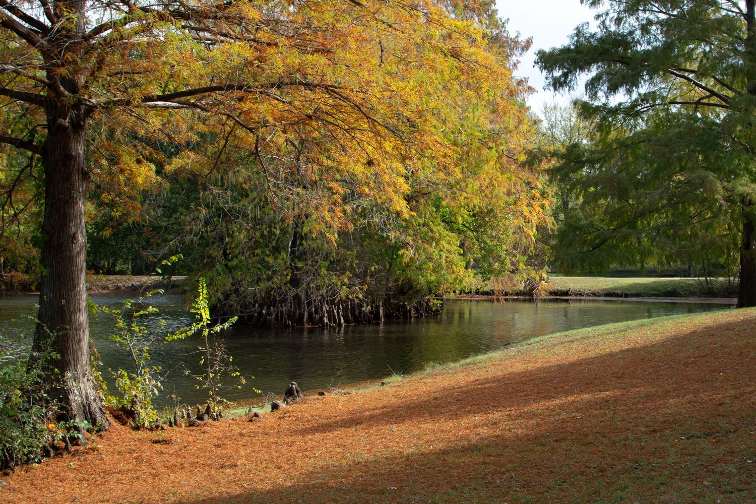 gabbard park