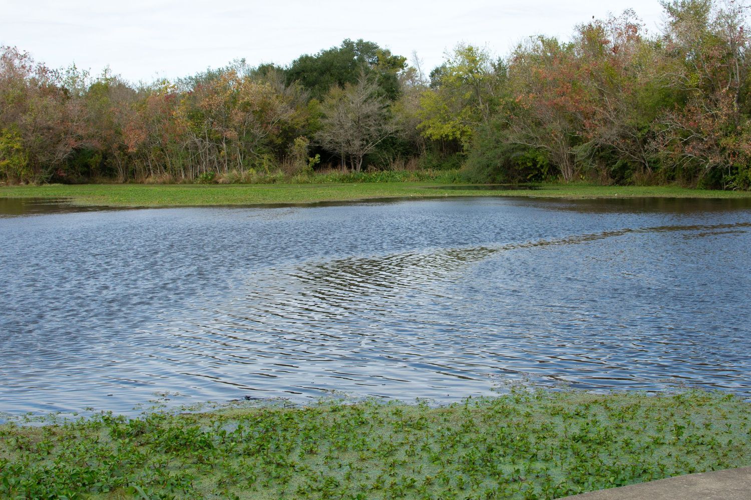 john crompton park