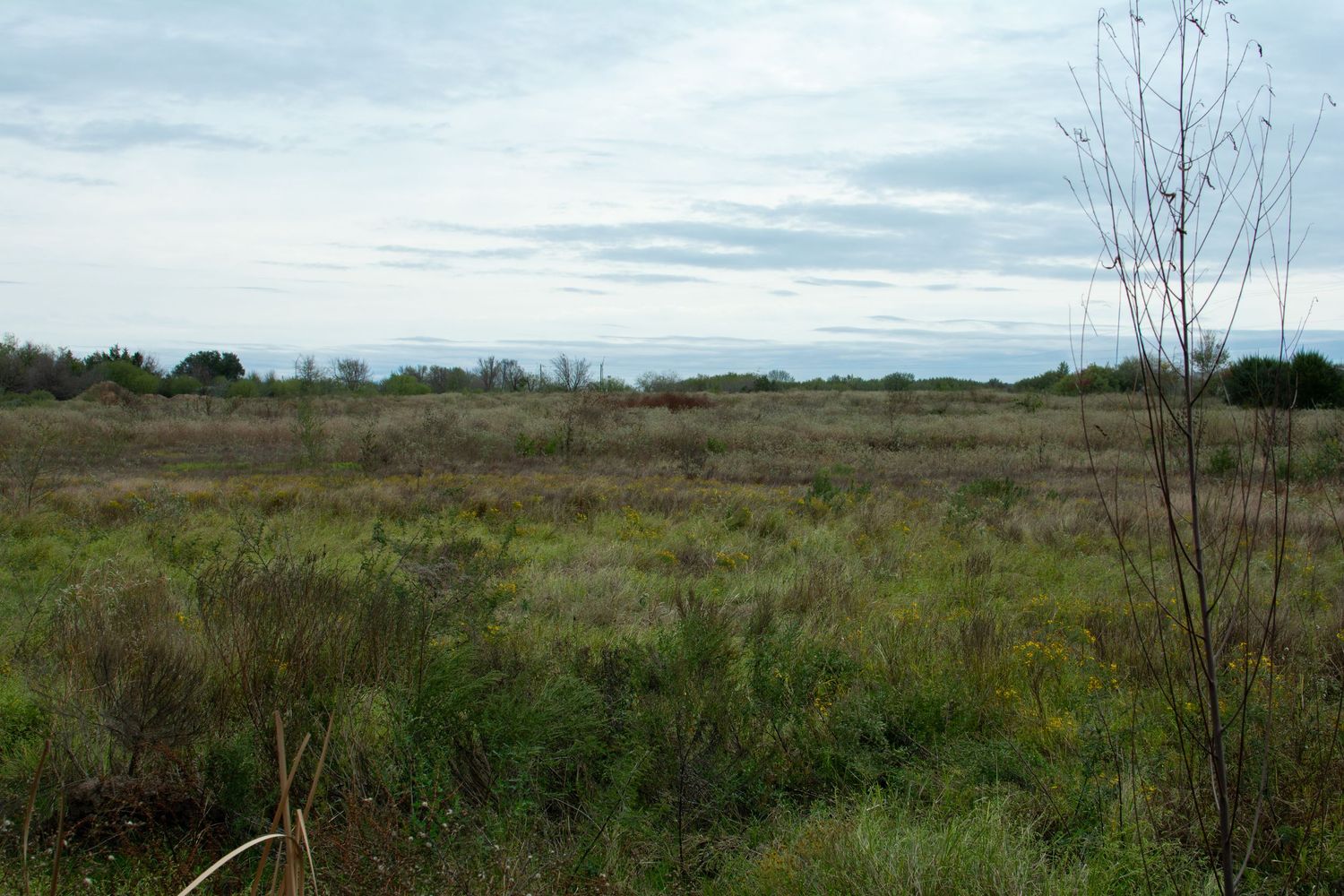 pershing pointe