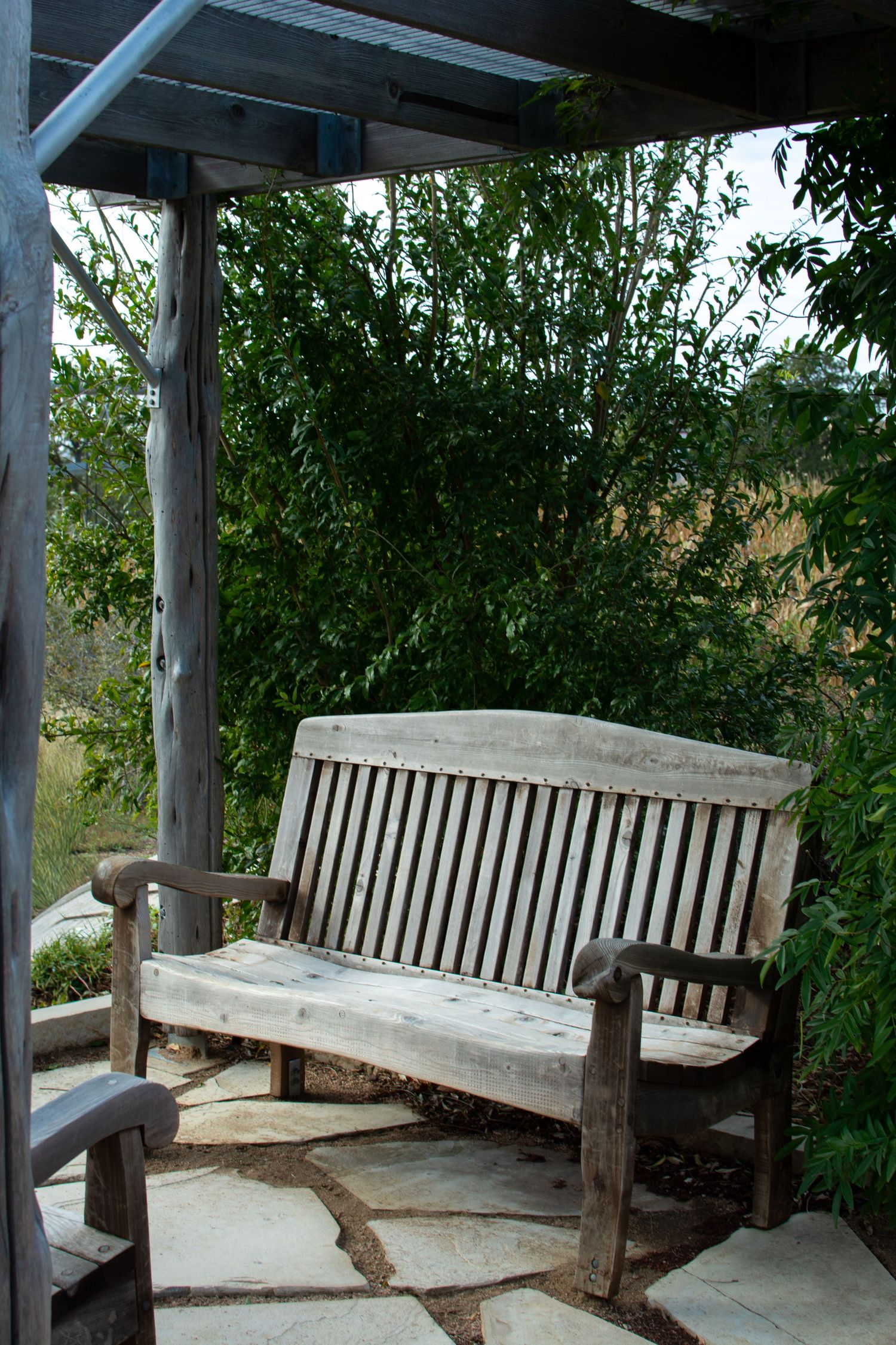 tamu gardens