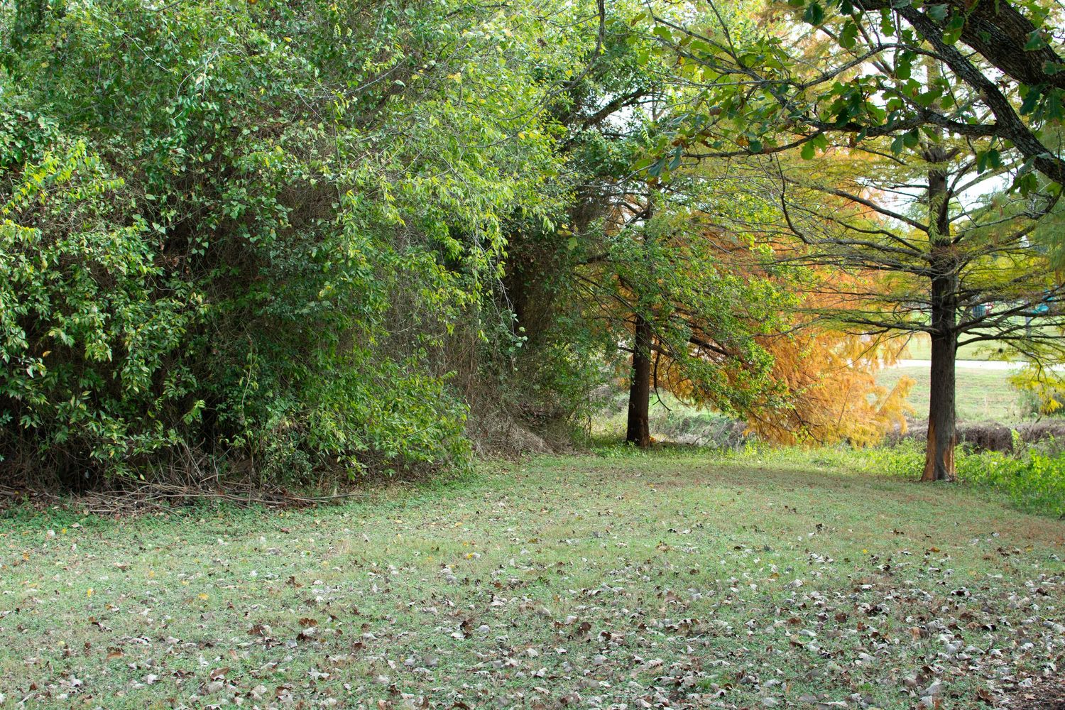 wolf pen creek