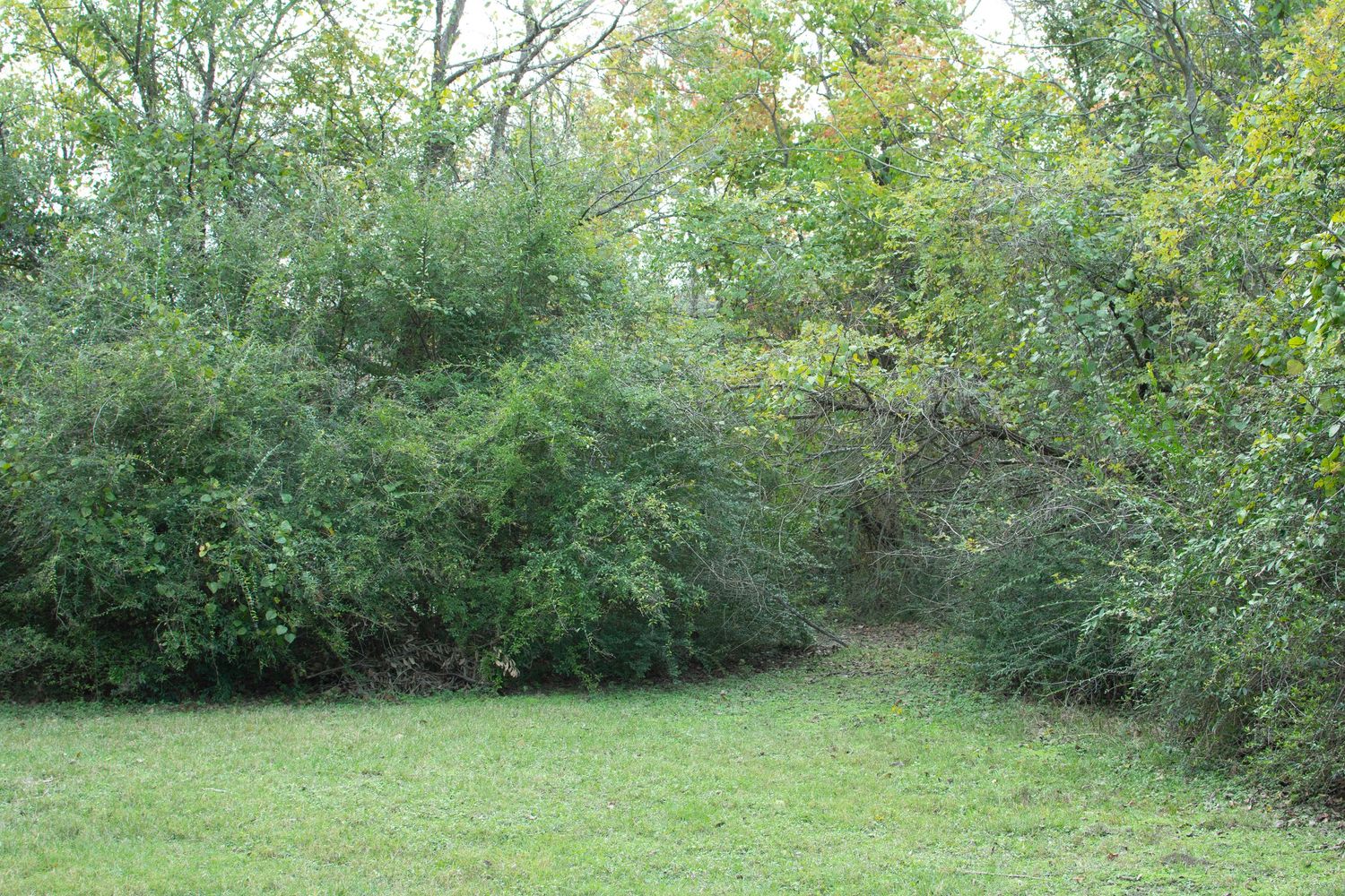john crompton park
