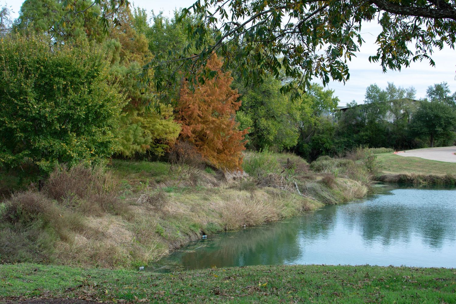 wolf pen creek
