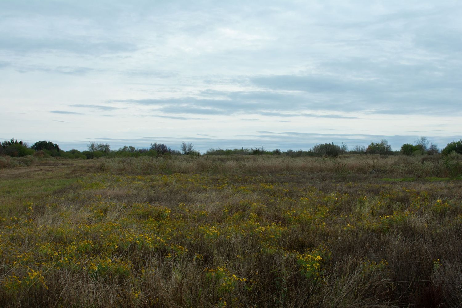 pershing pointe