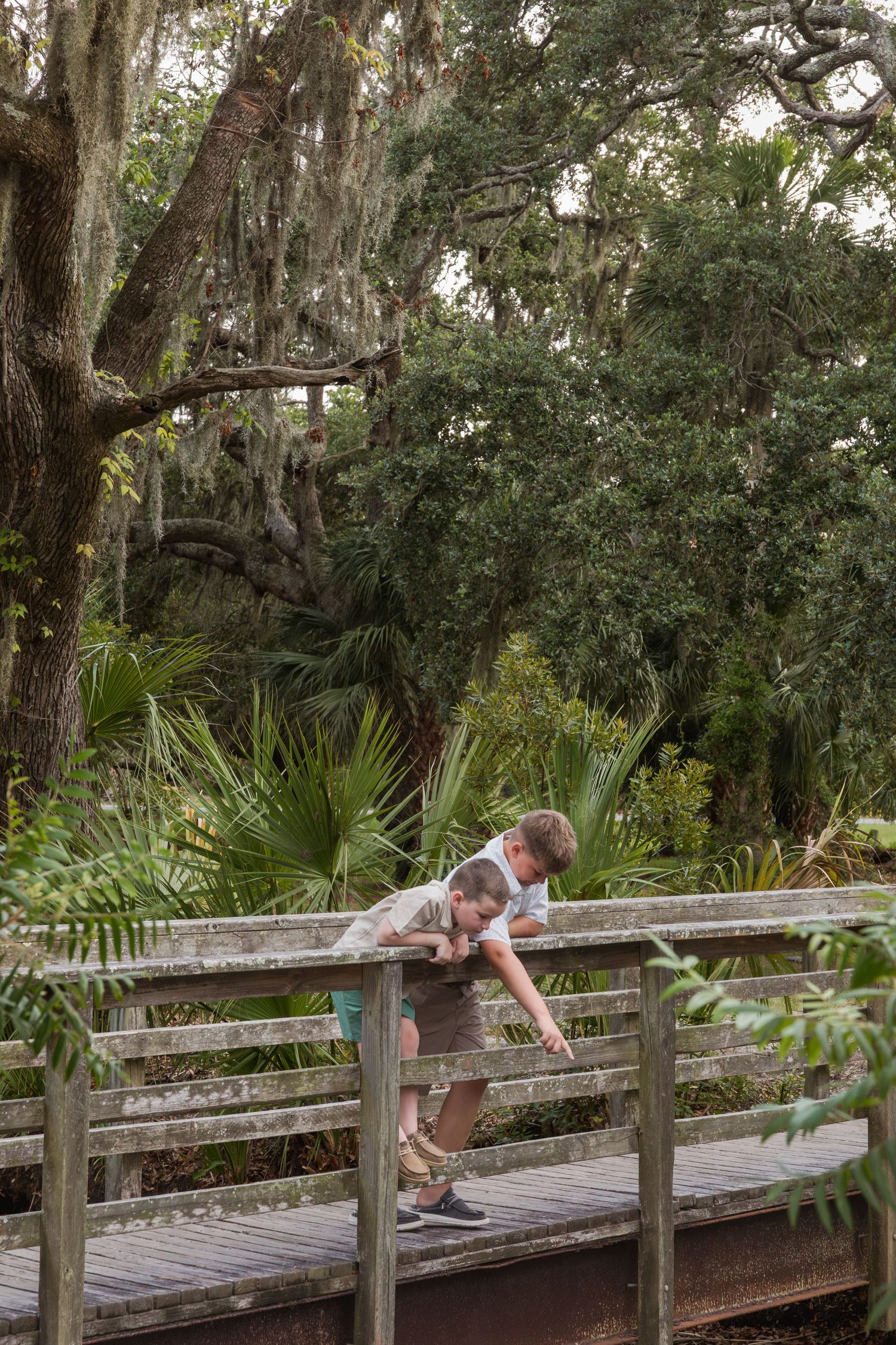 Two children lean over a wooden boardwalk railing surrounded by lush trees with Spanish moss in a nature park.