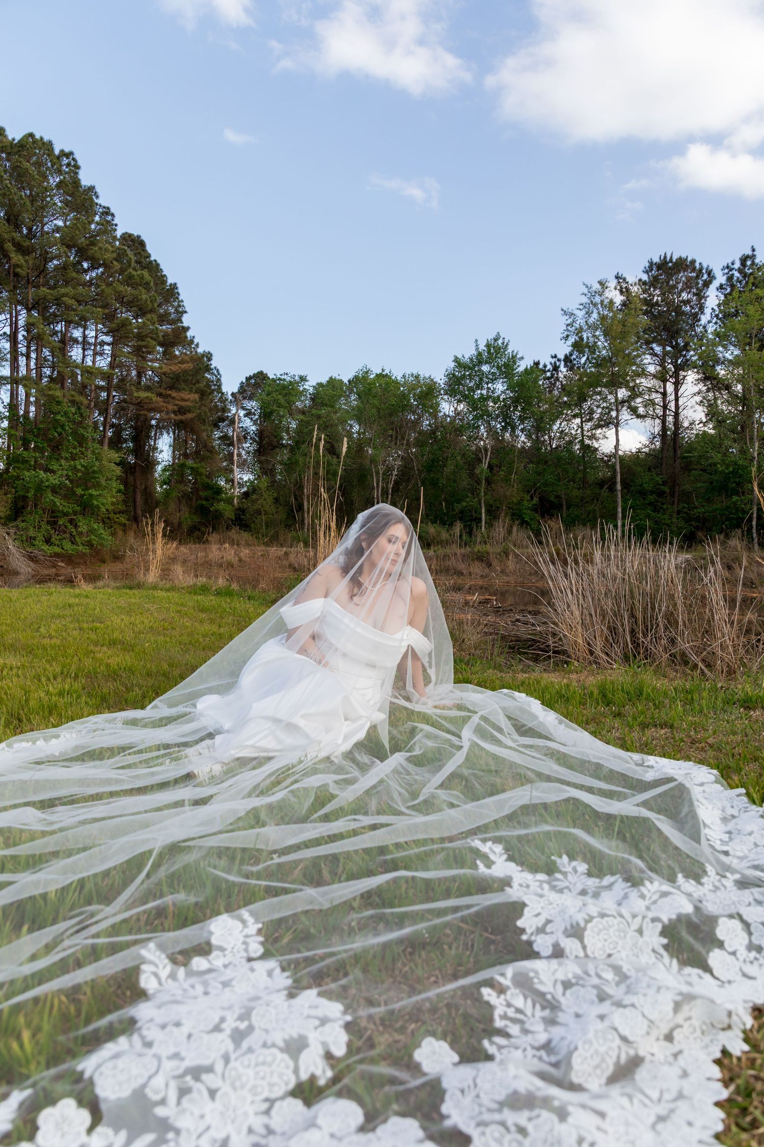 Bride in white gown and lace veil seated outdoors in green field with tall trees and blue sky backdrop.
