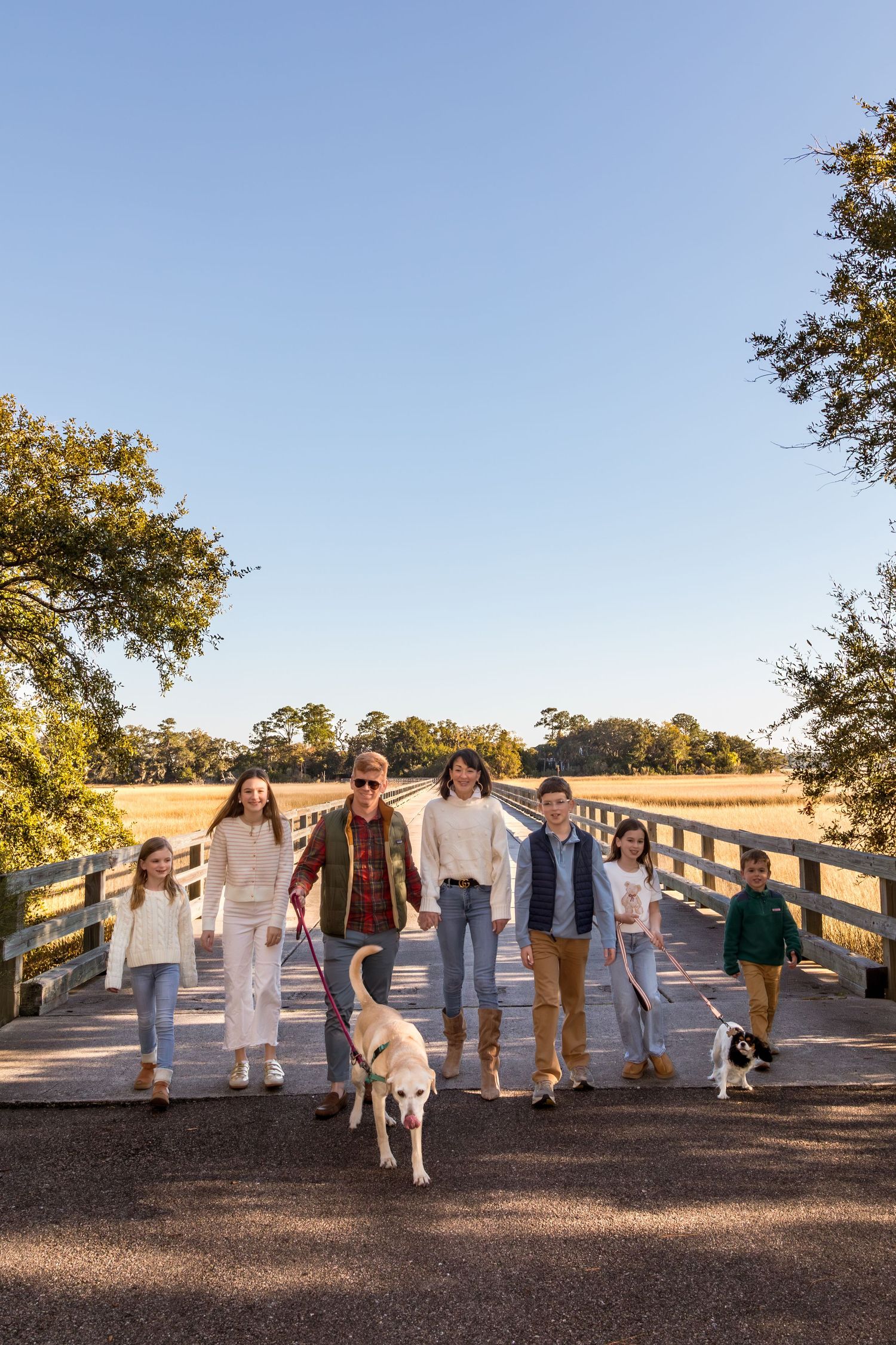 Family with two dogs walking across a wooden bridge on a sunny day in a rural countryside setting.