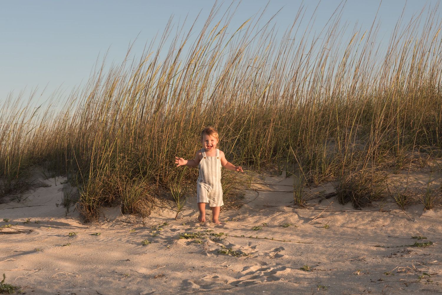 Young toddler in white romper standing on sandy beach dunes with tall sea grass in golden hour light.