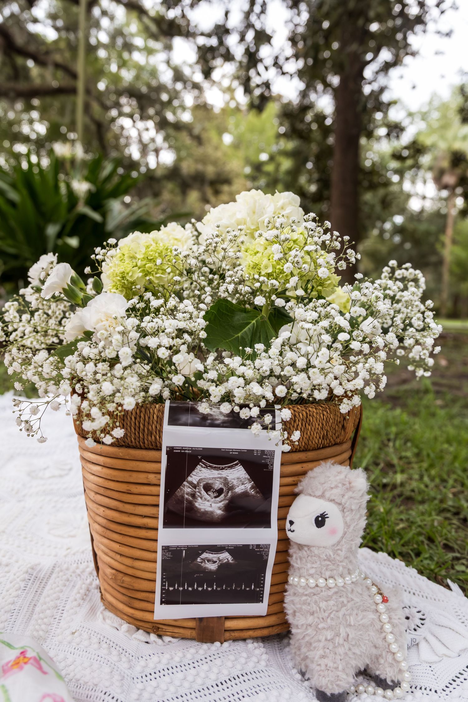 Wicker basket with white flowers and baby's breath, ultrasound photos, and a plush llama on lace cloth outdoors.