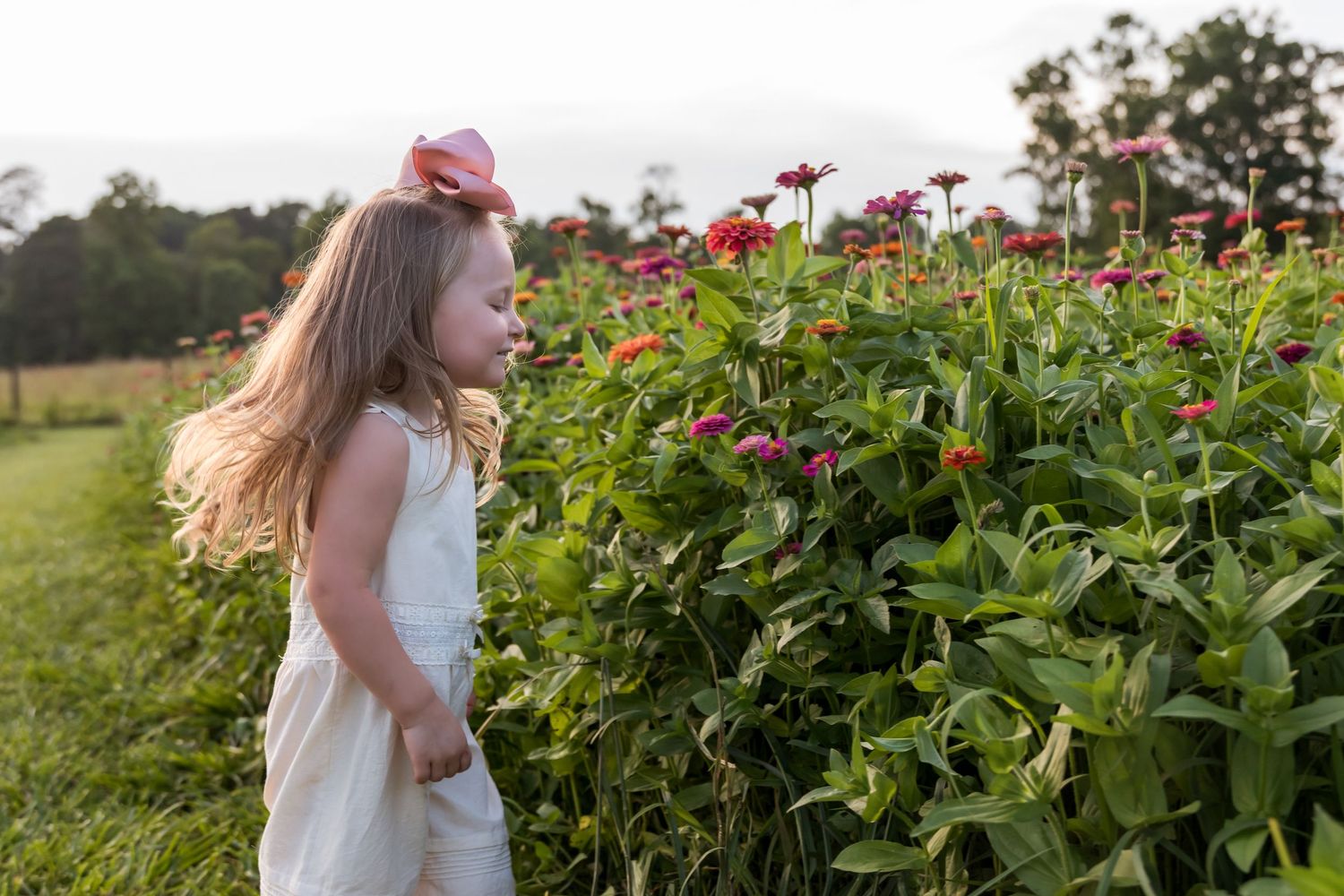 A young girl with long blonde hair in a white dress admires vibrant pink zinnia flowers in a lush garden field.