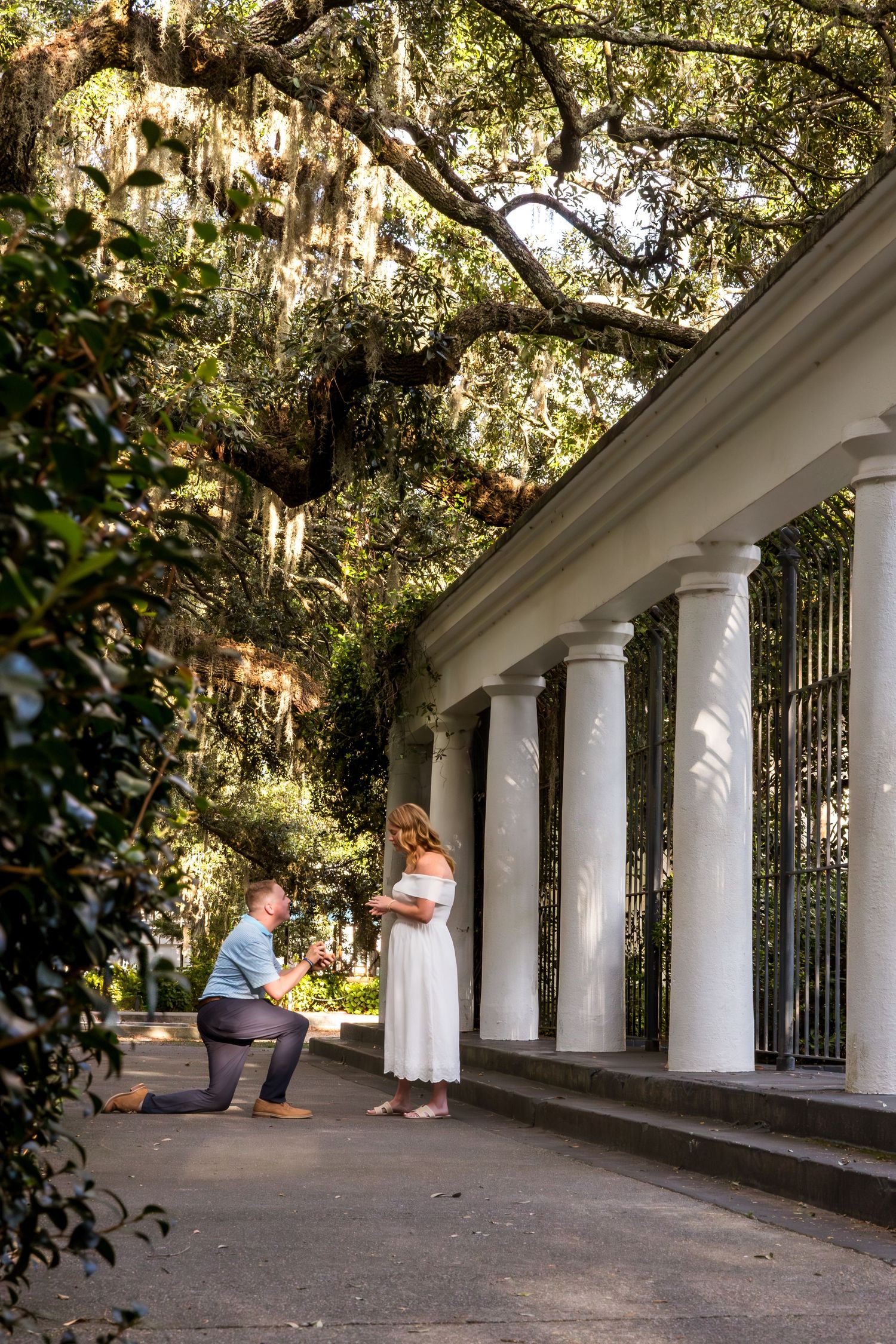 White columned walkway with Spanish moss hanging from trees creating romantic ambiance.