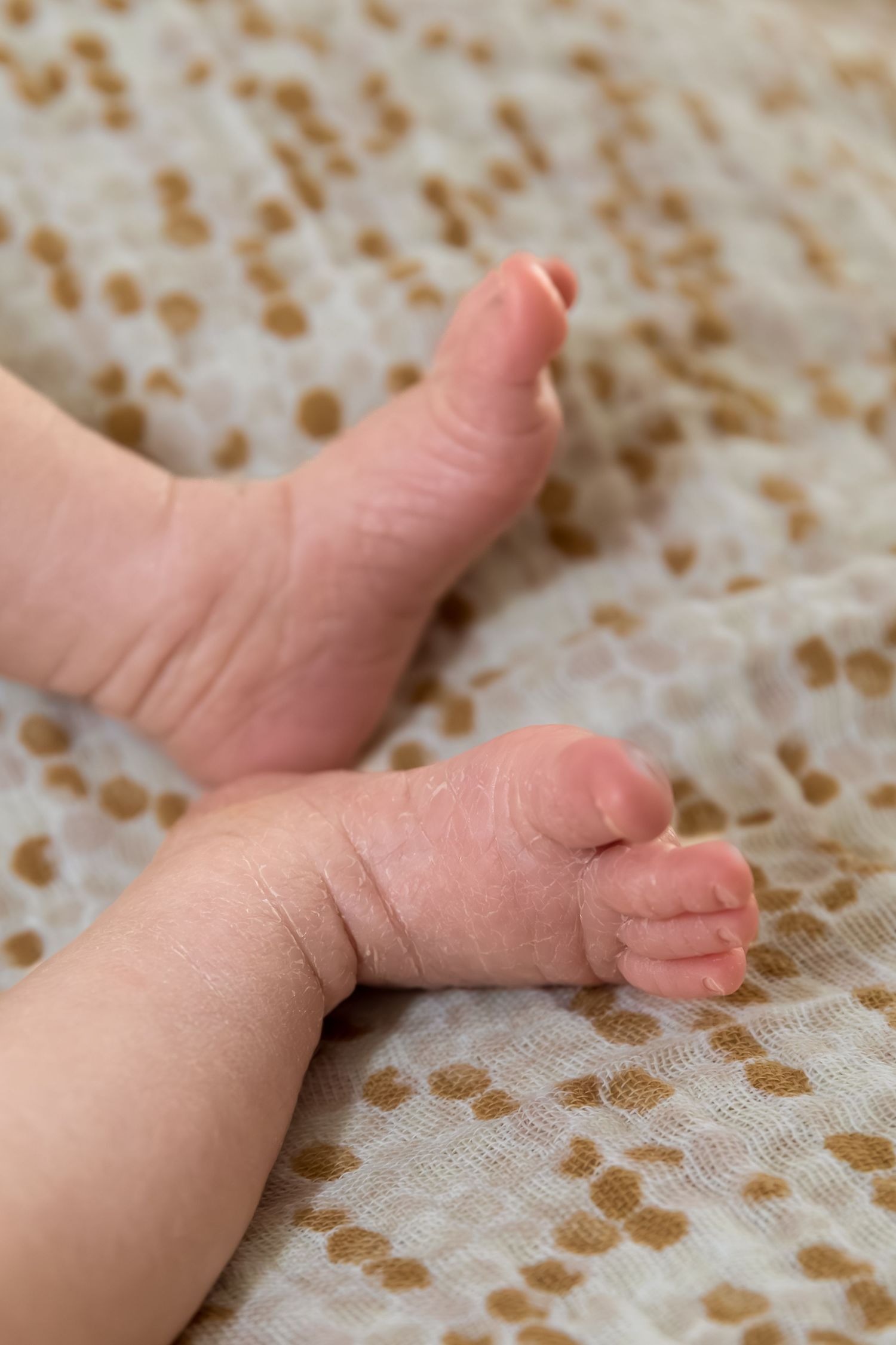 Close-up of tiny newborn baby feet resting on a soft white and tan patterned blanket.