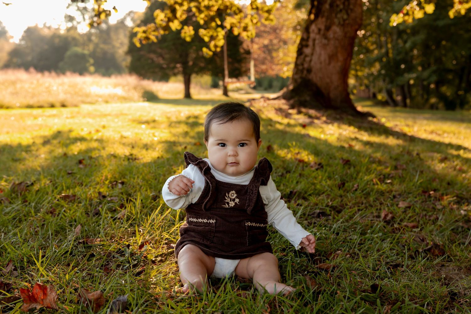 Autumn outdoor photography session in golden sunlight with fallen leaves scattered on grass.