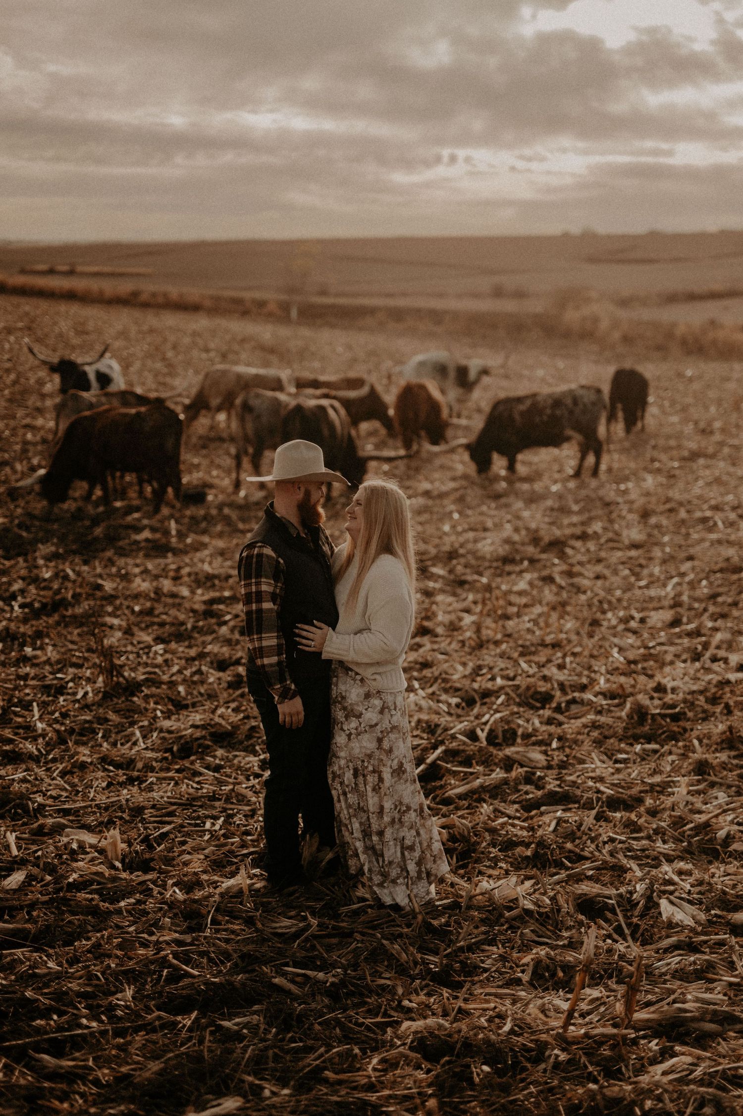 Romantic countryside portrait with cattle grazing in the background during sunset.