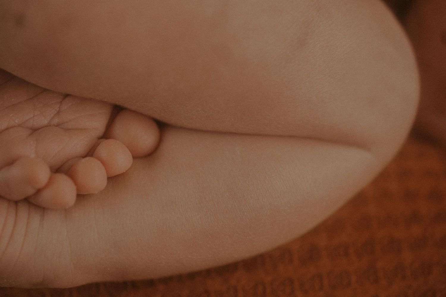 Close-up view of tiny baby feet against soft brown fabric.