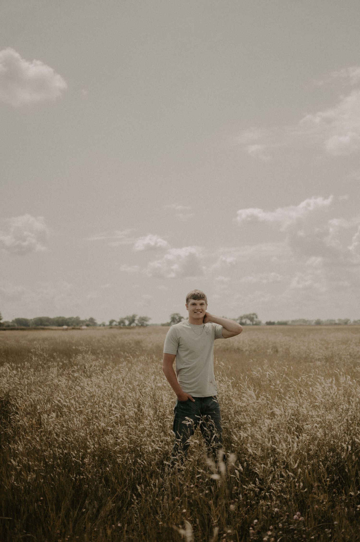 Person stands in a golden wheat field under cloudy skies in a series of panoramic rural landscape shots.