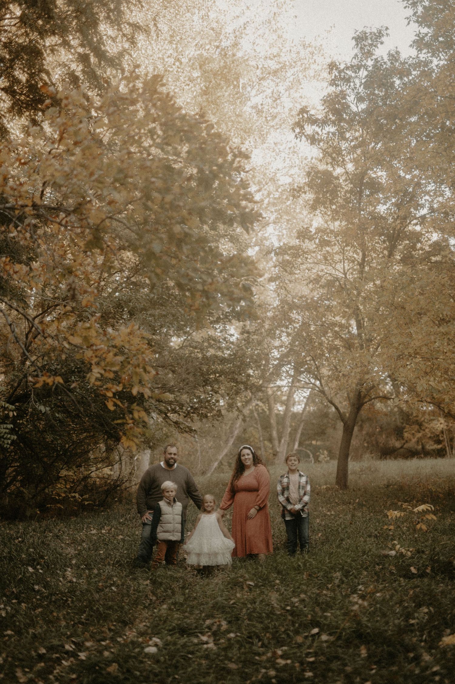 People walking through a misty autumn forest with golden leaves and filtered sunlight.