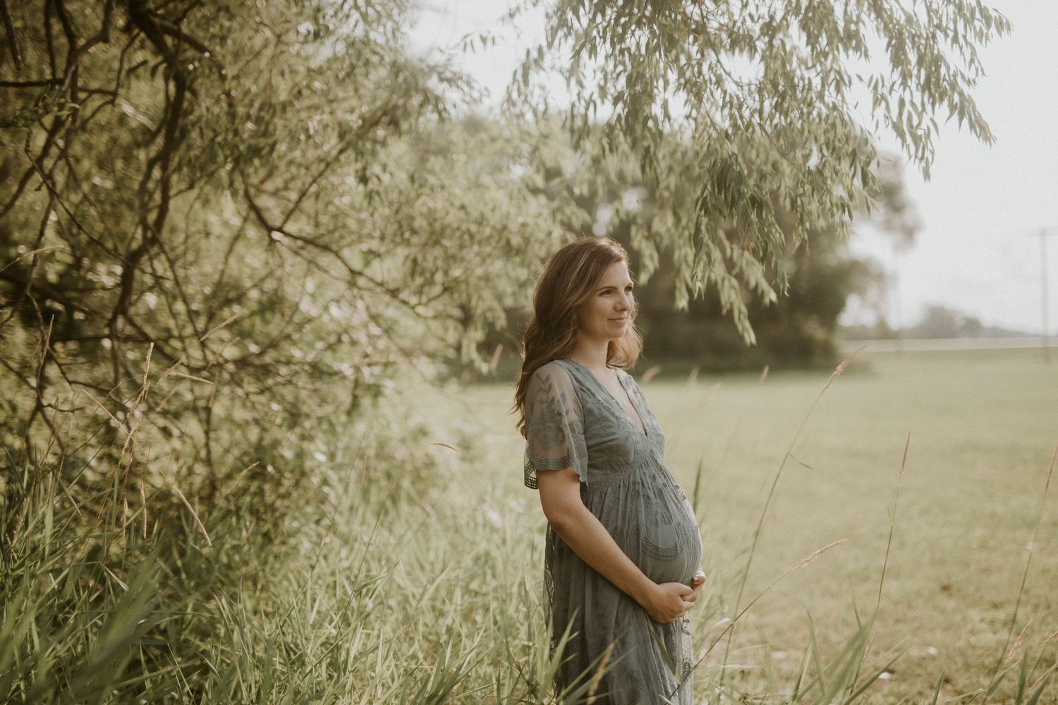 A couple embraces in a sun-drenched field with willow trees creating a romantic, dreamy atmosphere.