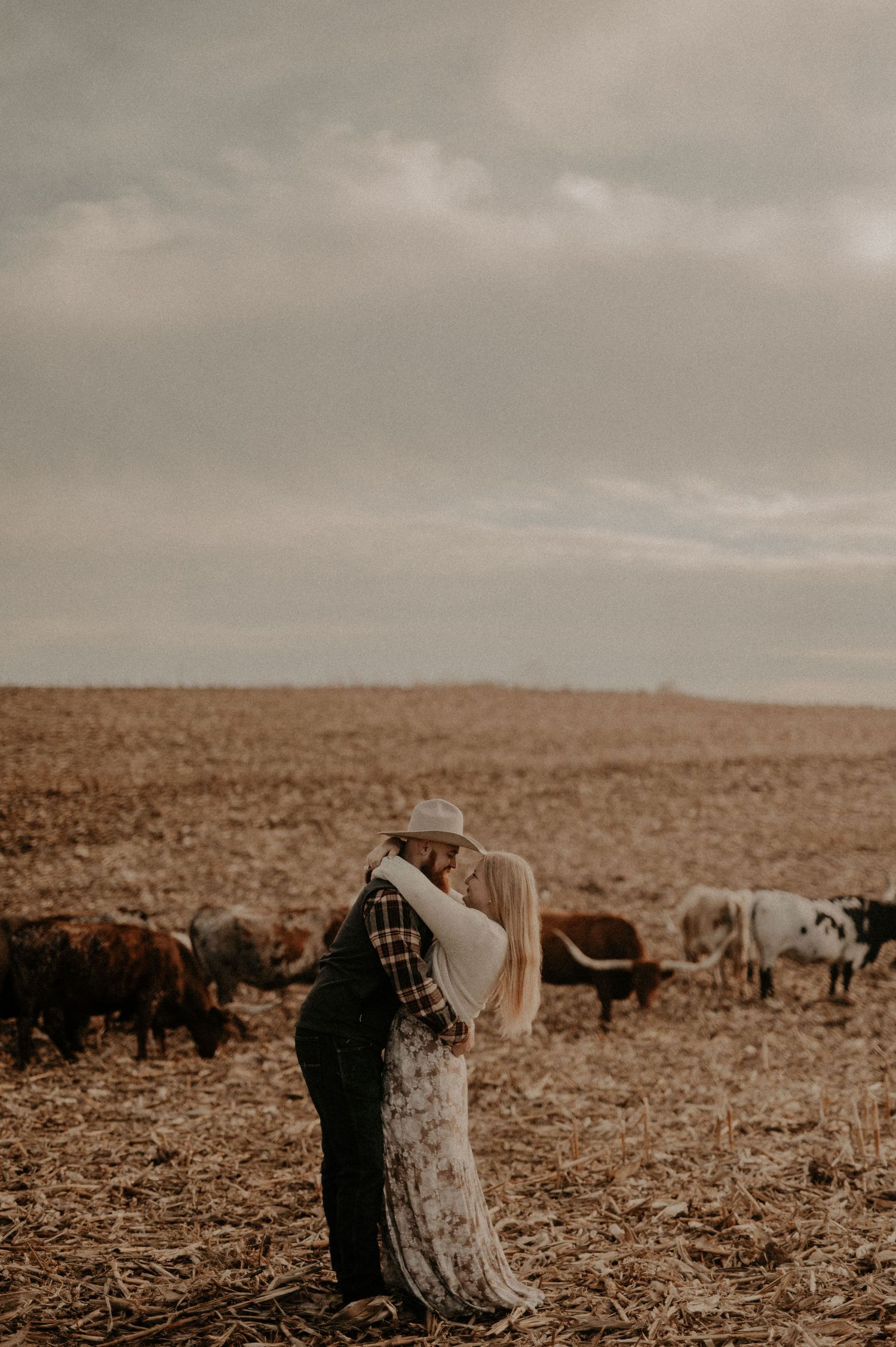 Romantic moment captured in a rural field with cattle grazing behind the couple.