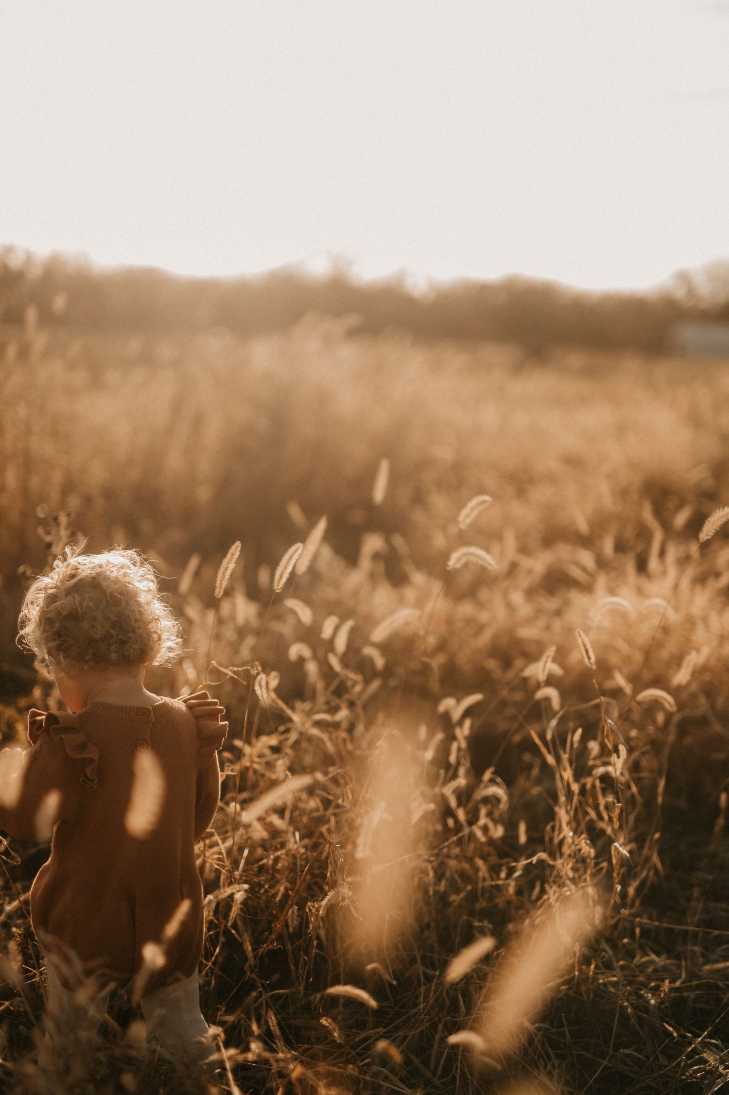 A silhouette stands among golden wheat stalks in a field at sunset with warm sunlight filtering through.