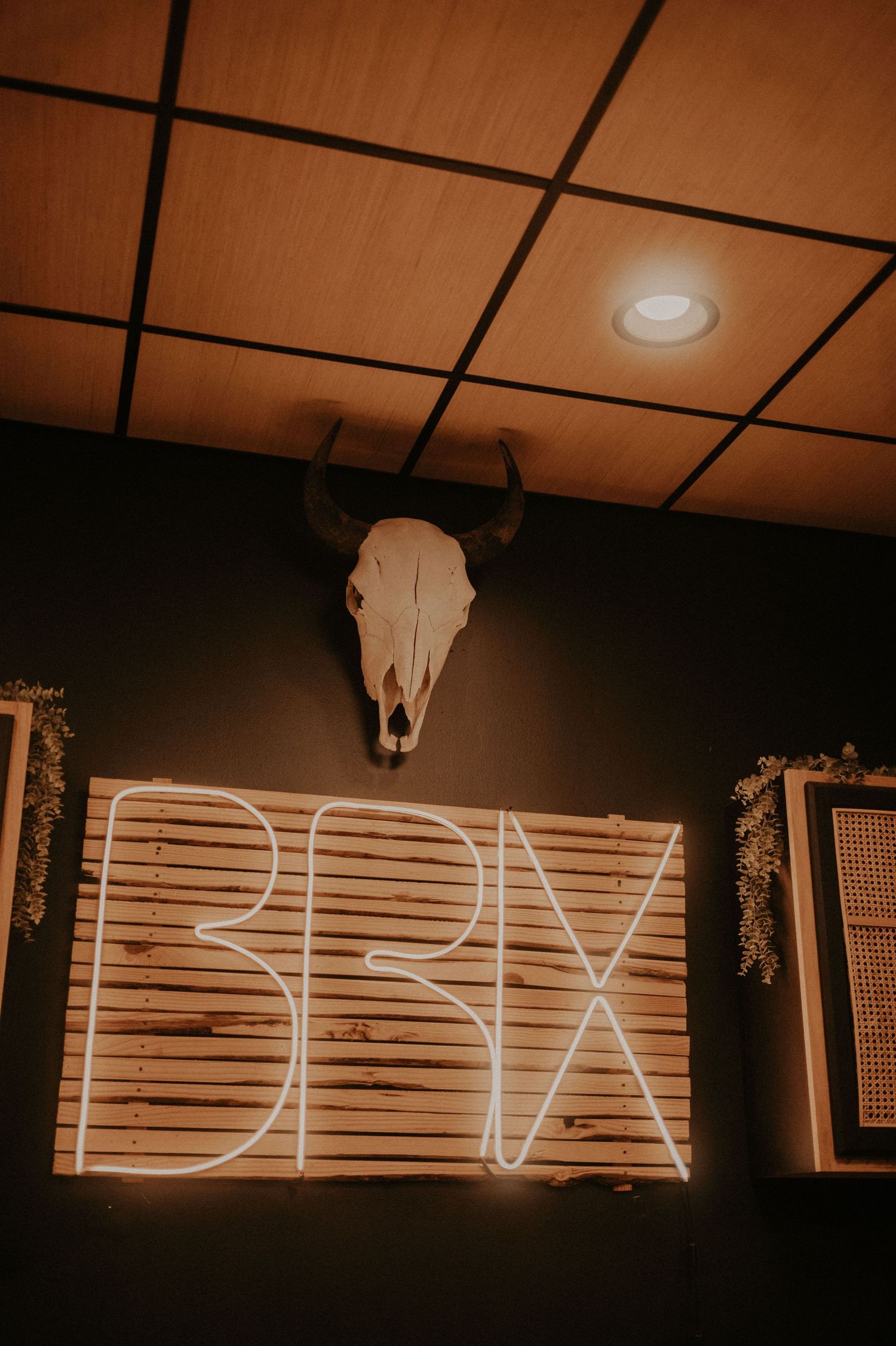 A cow skull hangs above a neon BBX sign in moody lighting.