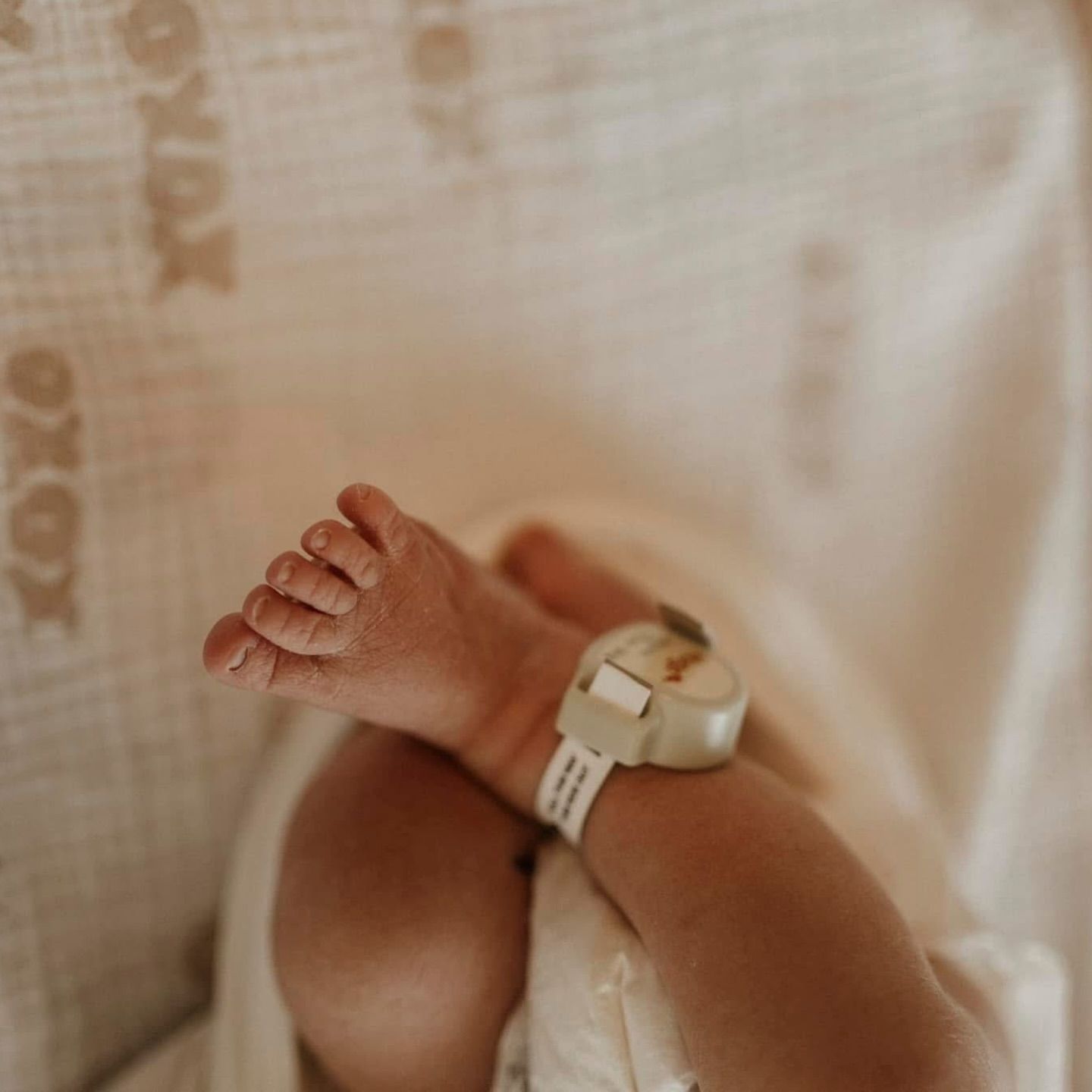 Close-up of tiny newborn baby feet with hospital identification bands.