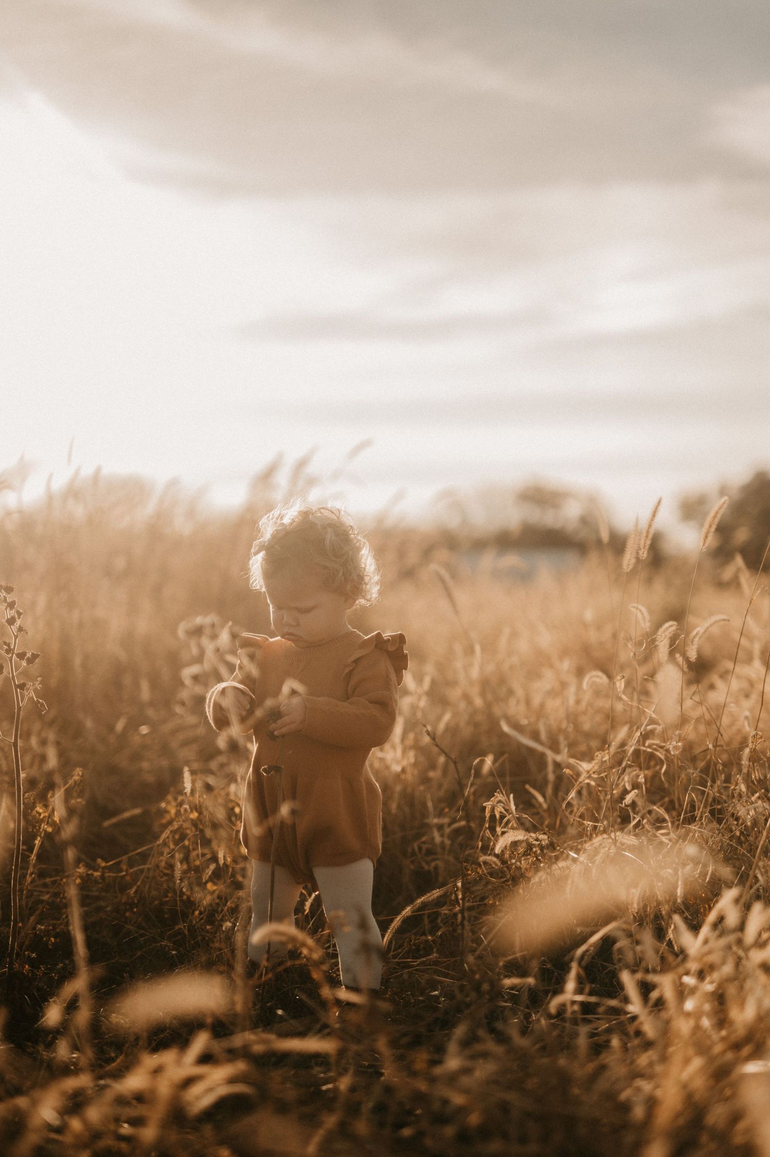 A small silhouette stands in a golden wheat field at sunset with warm sunlight filtering through the tall grass.