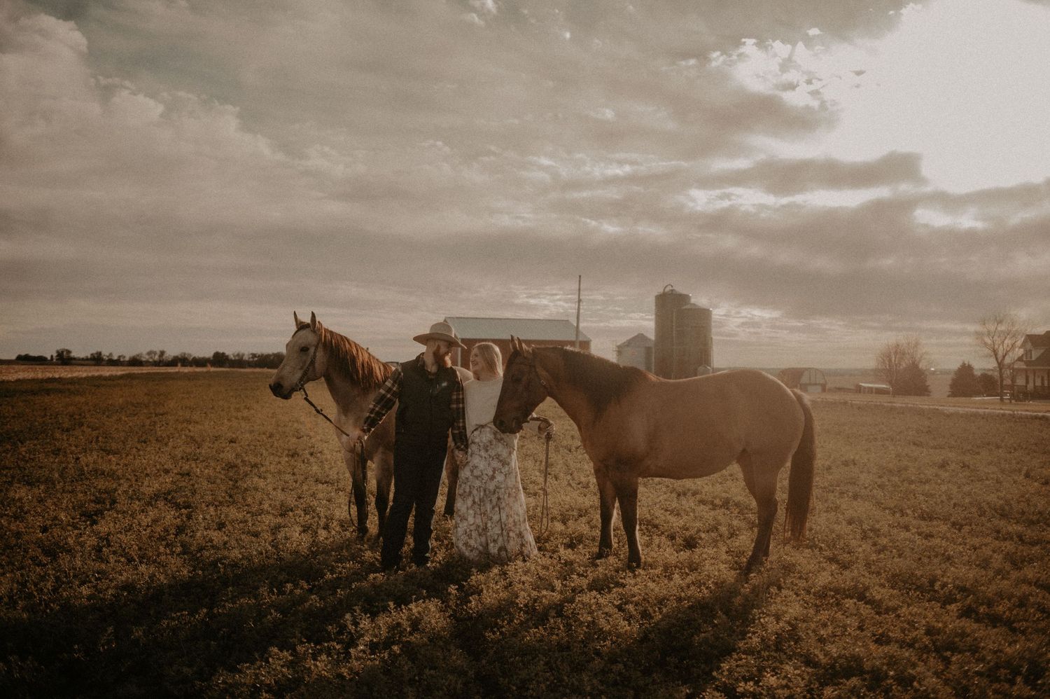 Horses stand in a golden field at sunset with silhouettes against the sky.