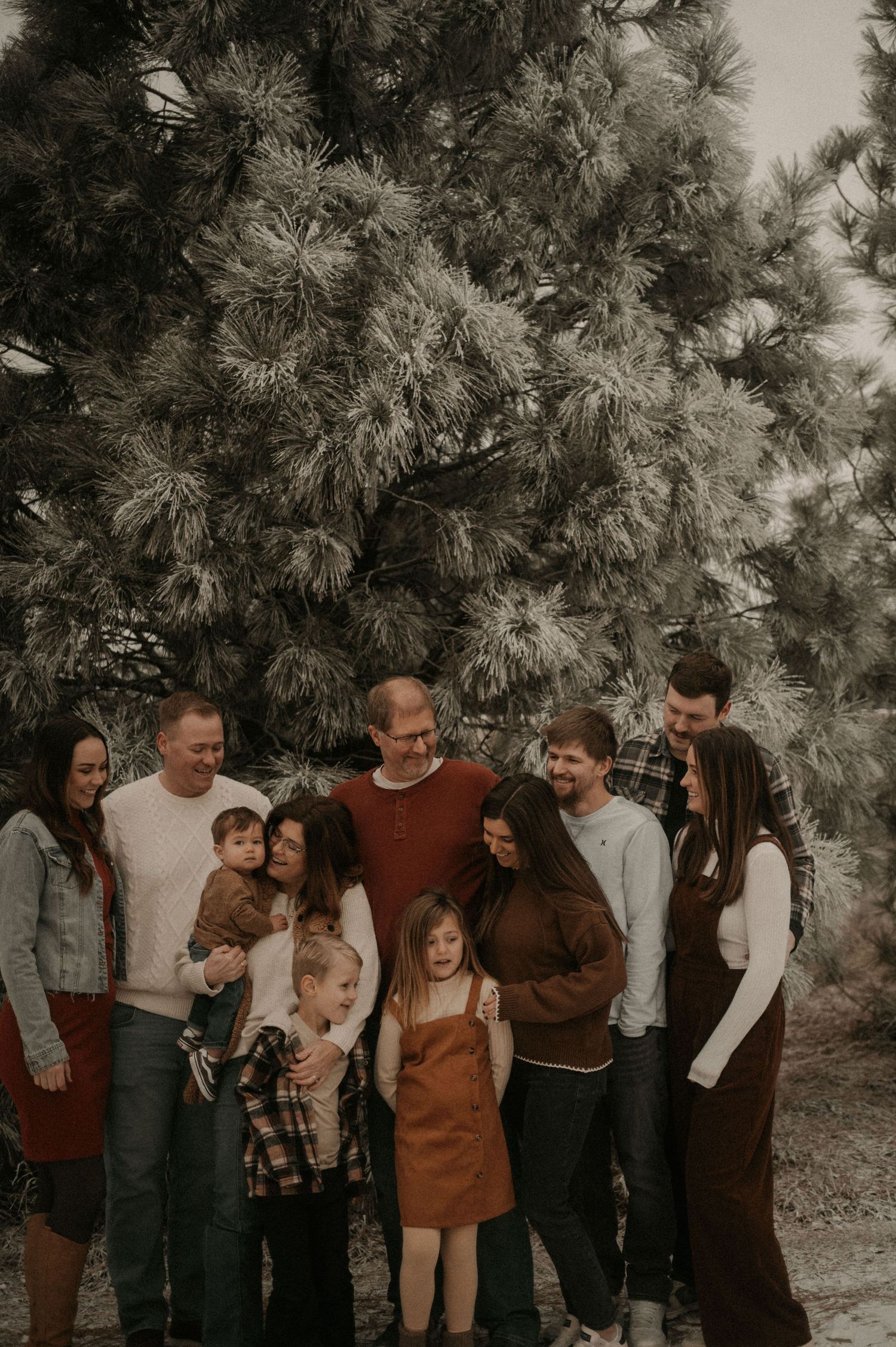 A group of people gathered together for a casual outdoor family portrait in front of a large pine tree.