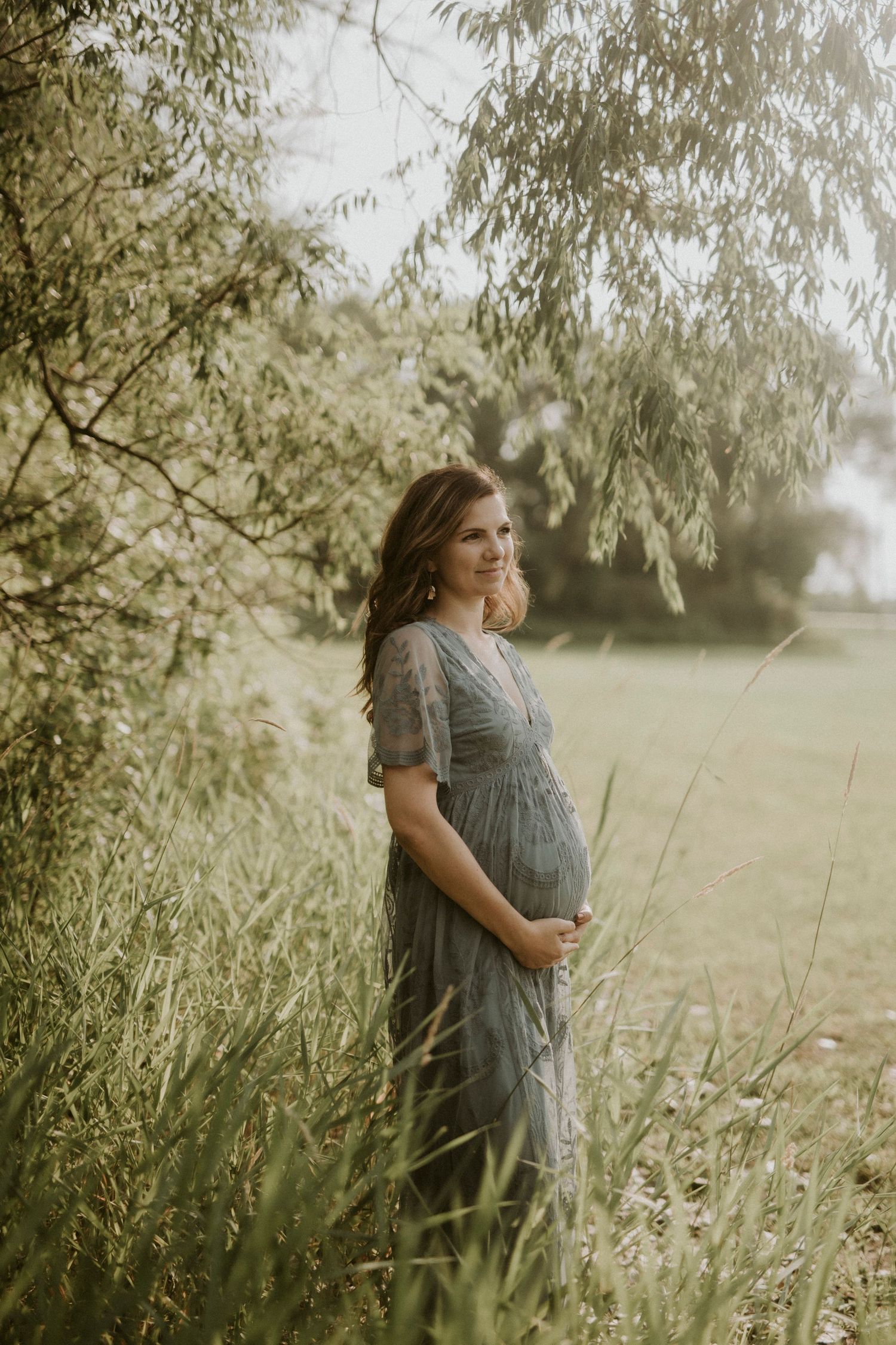 A maternity photoshoot in a dreamy field with tall grass and willow trees during golden hour.