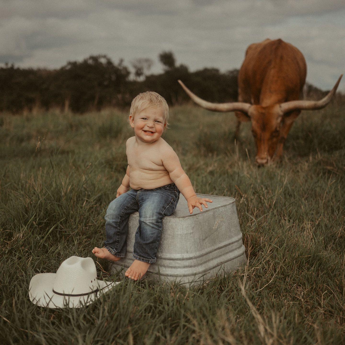 A toddler sits in a metal washtub in a field with longhorn cattle in the background.