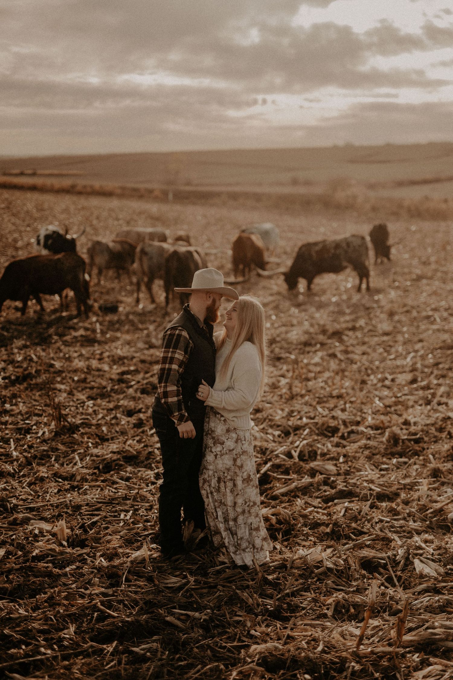 Couple embracing in a harvested field with cattle grazing in the distance.