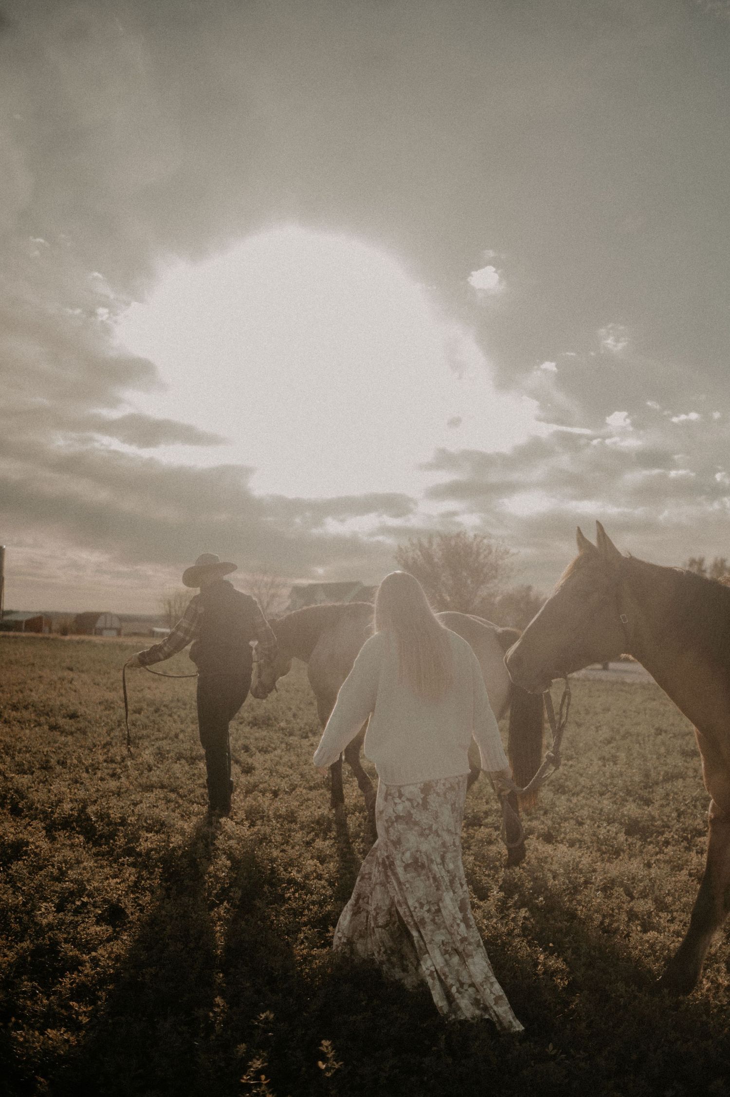 A wedding party poses with horses in a sunlit field during golden hour.