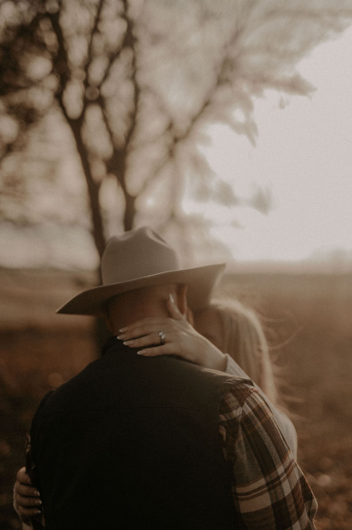 Silhouetted couple embraces in warm sepia tones during sunset with trees in background.
