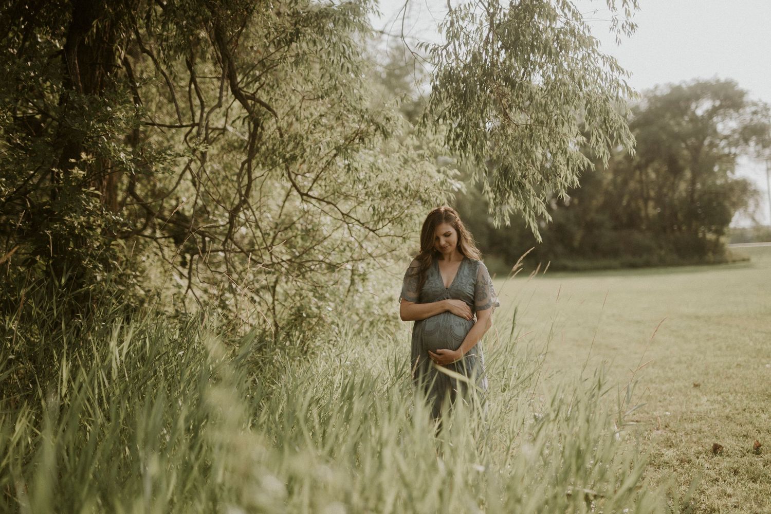 A dreamy outdoor maternity photo shoot in a sunlit field with tall willow trees and soft natural lighting.