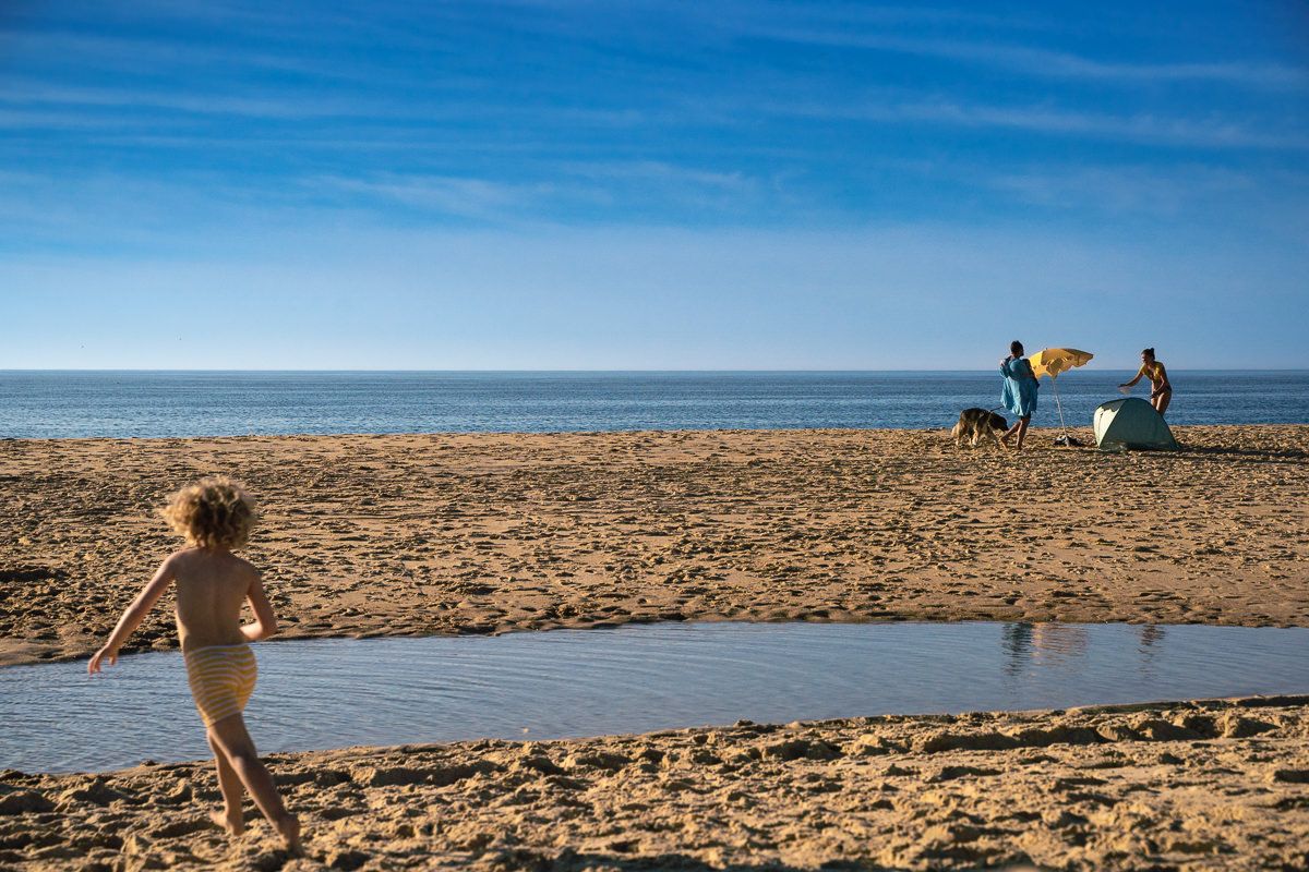 Eine malerische Küstenlandschaft mit Strand, an dem Menschen und Hunde einen sonnigen Tag am Meer in Frankreich genießen.