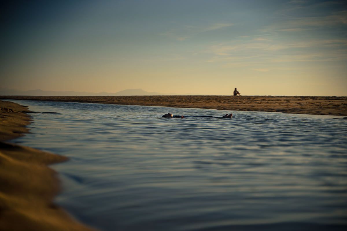 Ein Kind lässt sich im Wasser eines Priels treiben, während im Hintergrund die Sonne untergeht.