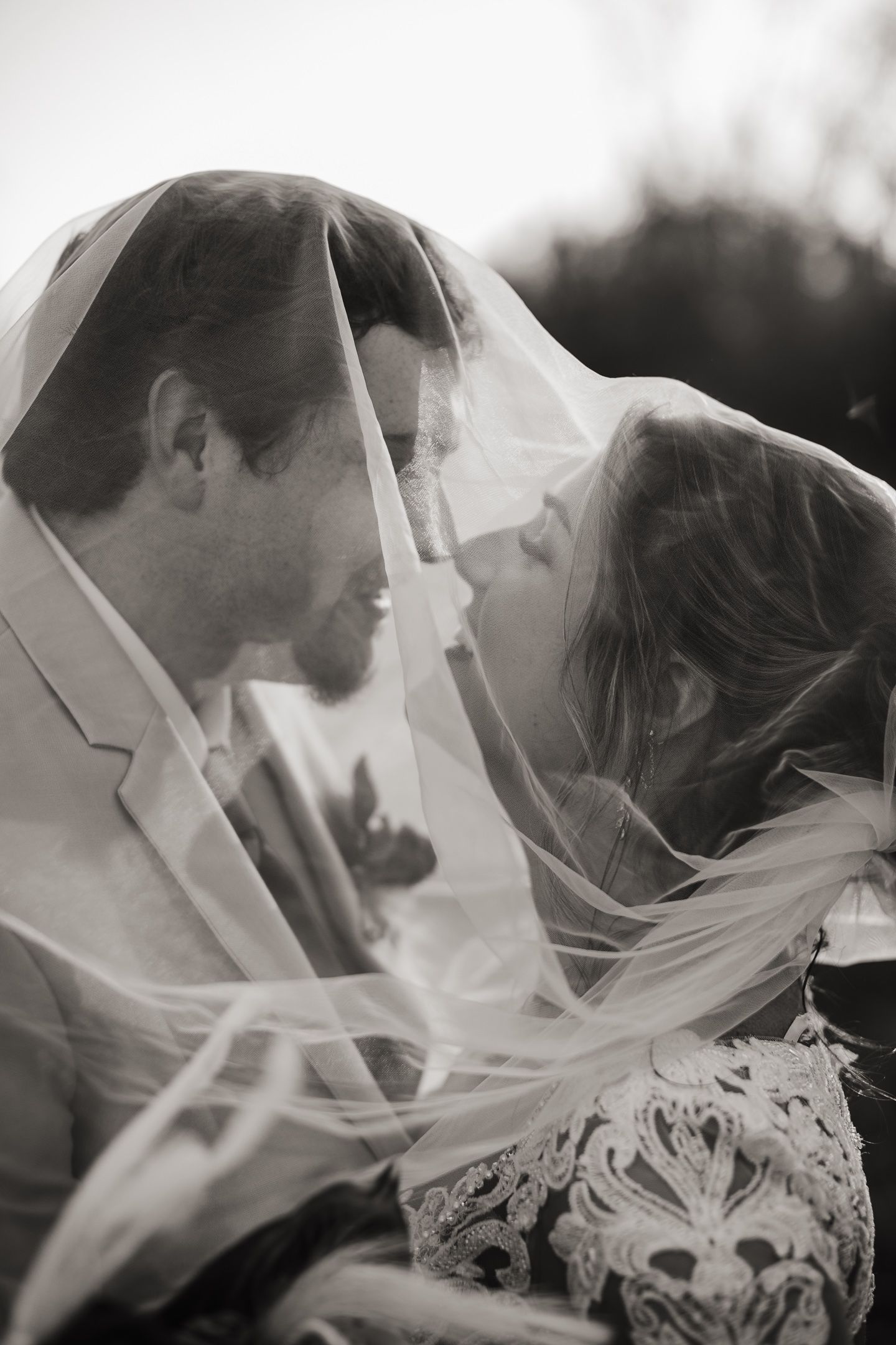 A romantic black and white wedding photo sequence showing a couple embracing under a flowing white veil.