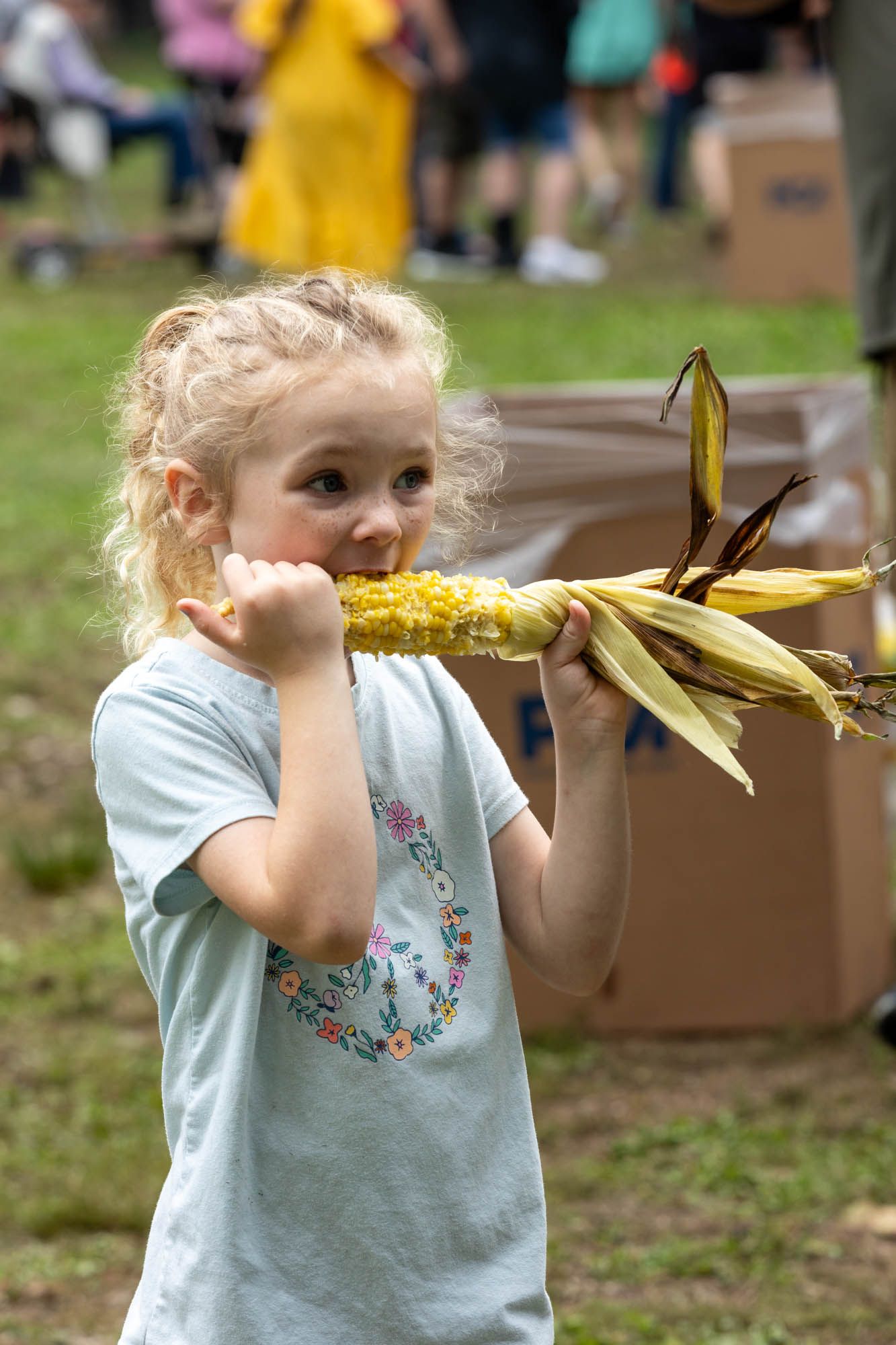 A young blonde girl eagerly eats a roasted ear of corn at an outdoor festival event.