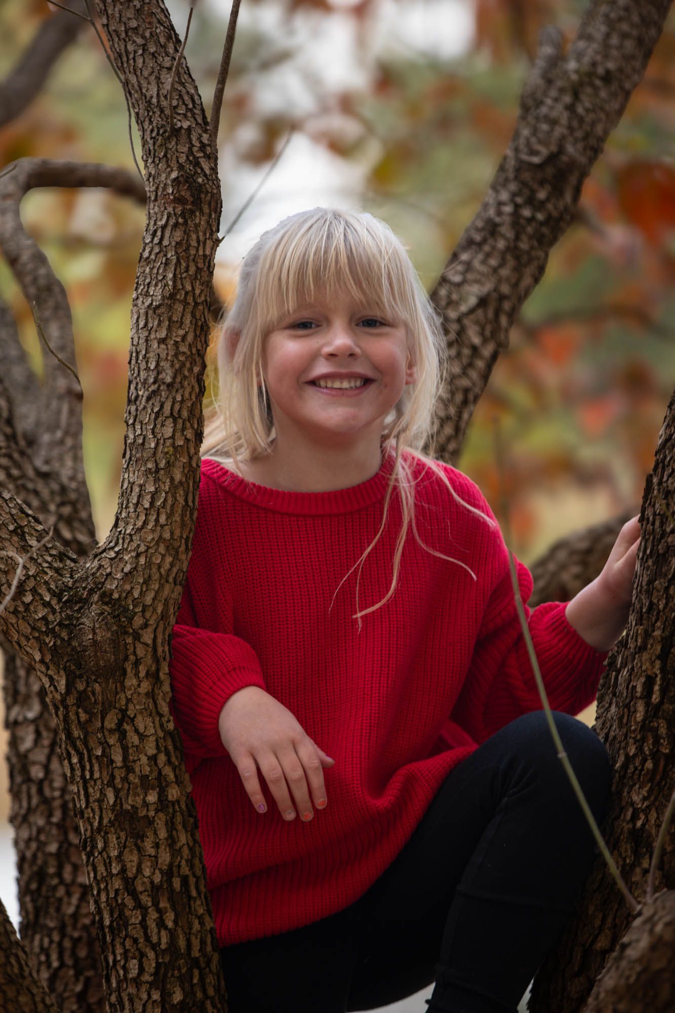 Smiling blonde girl in red sweater sitting in tree branches with autumn foliage background.