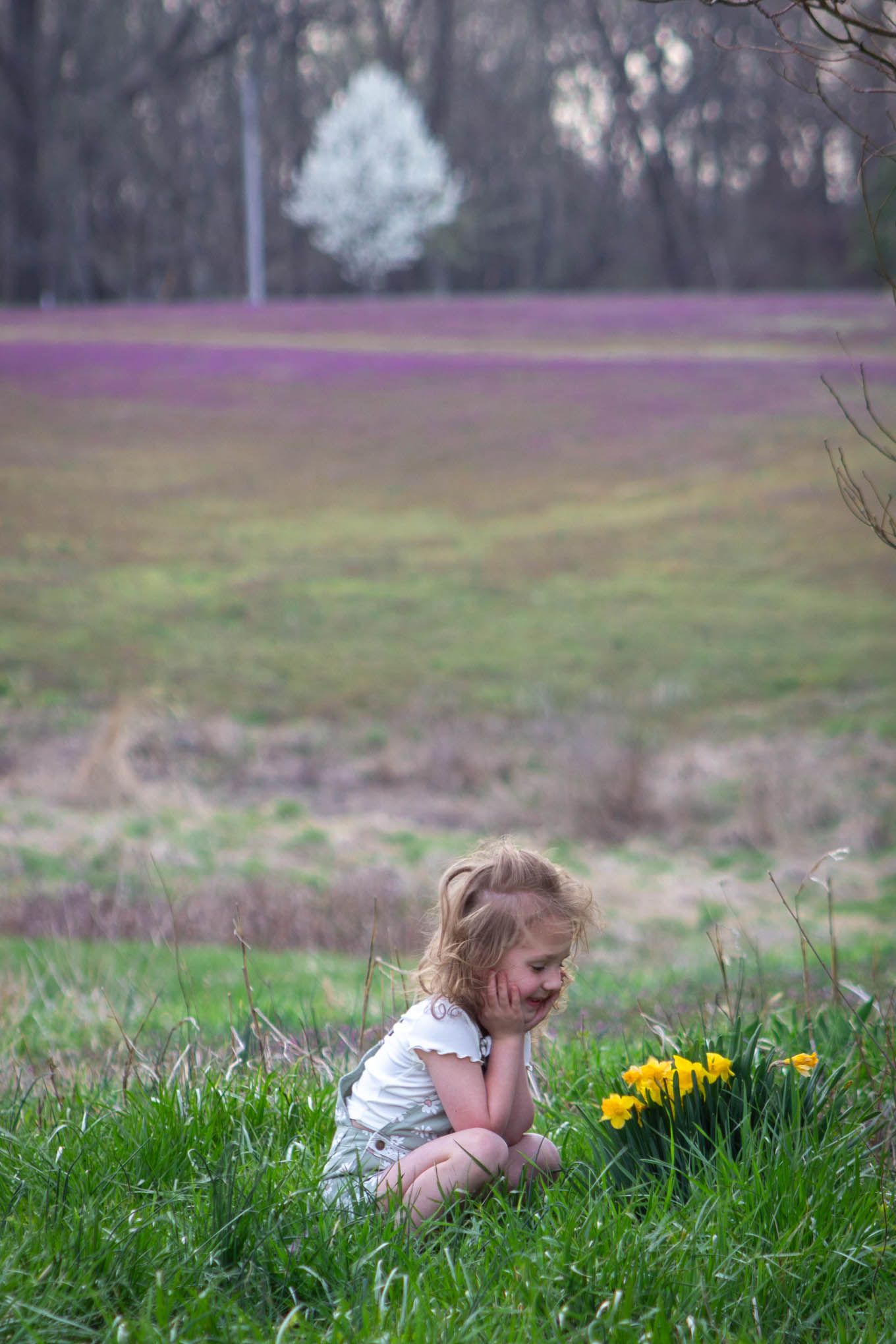 A young blonde toddler girl sits in green grass near yellow daffodils with a purple wildflower field behind her.