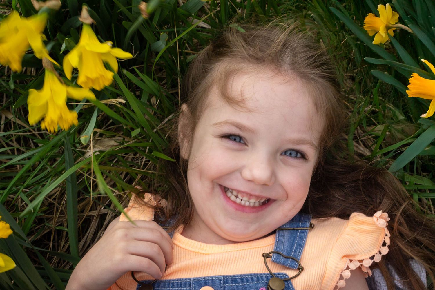 Smiling young girl lying among yellow daffodils wearing denim overalls and an orange top outdoors.